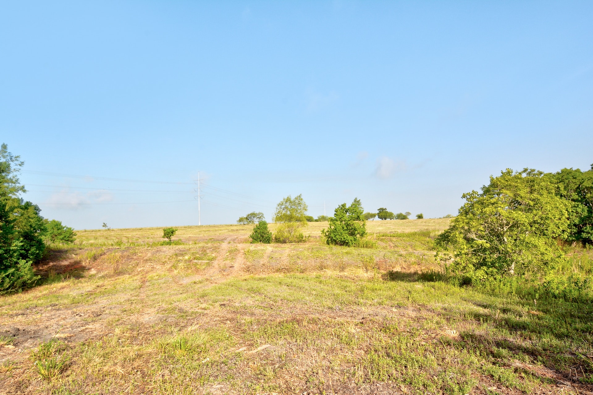 main property photo 14