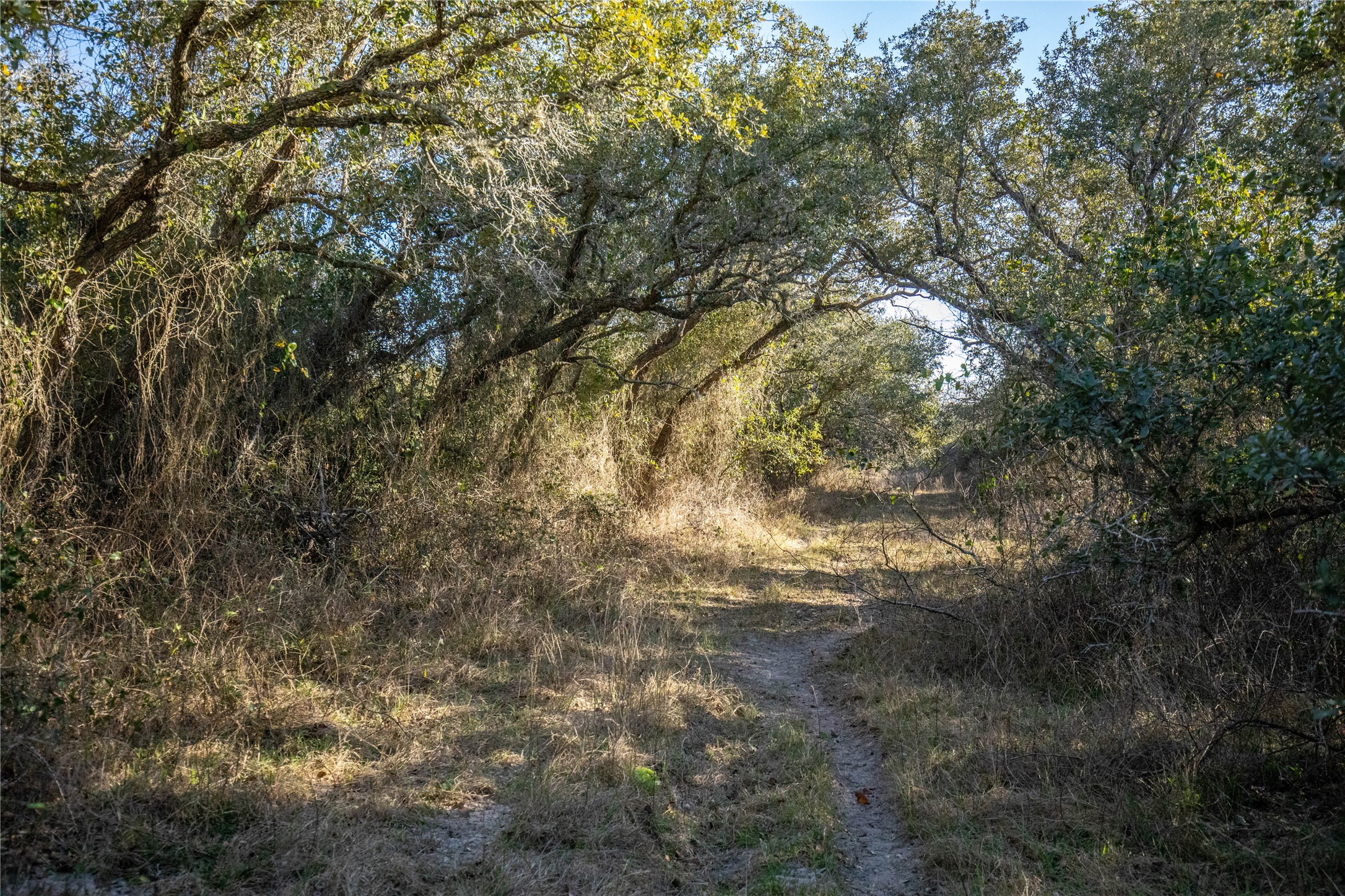 main property photo 13