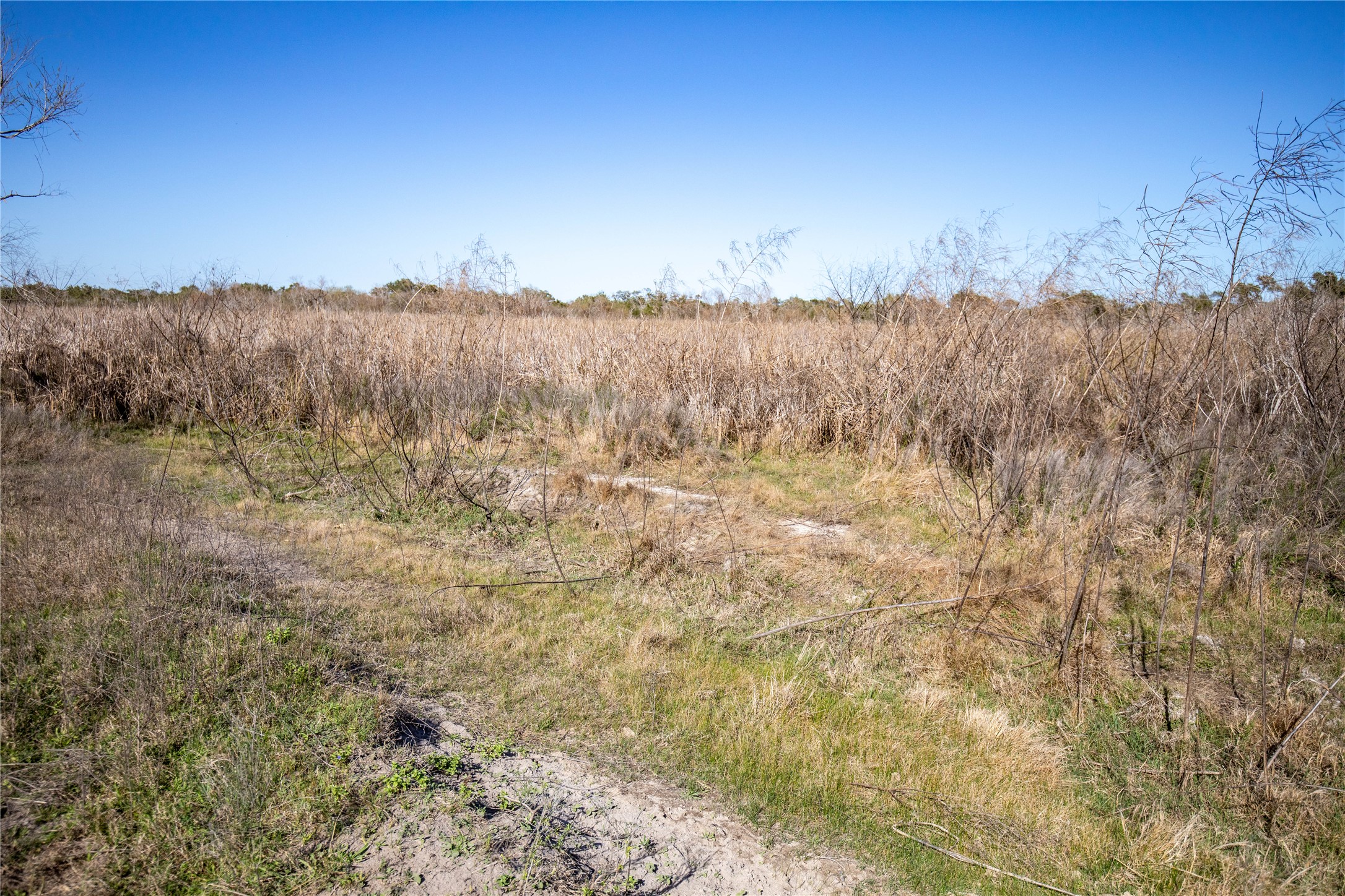main property photo 16