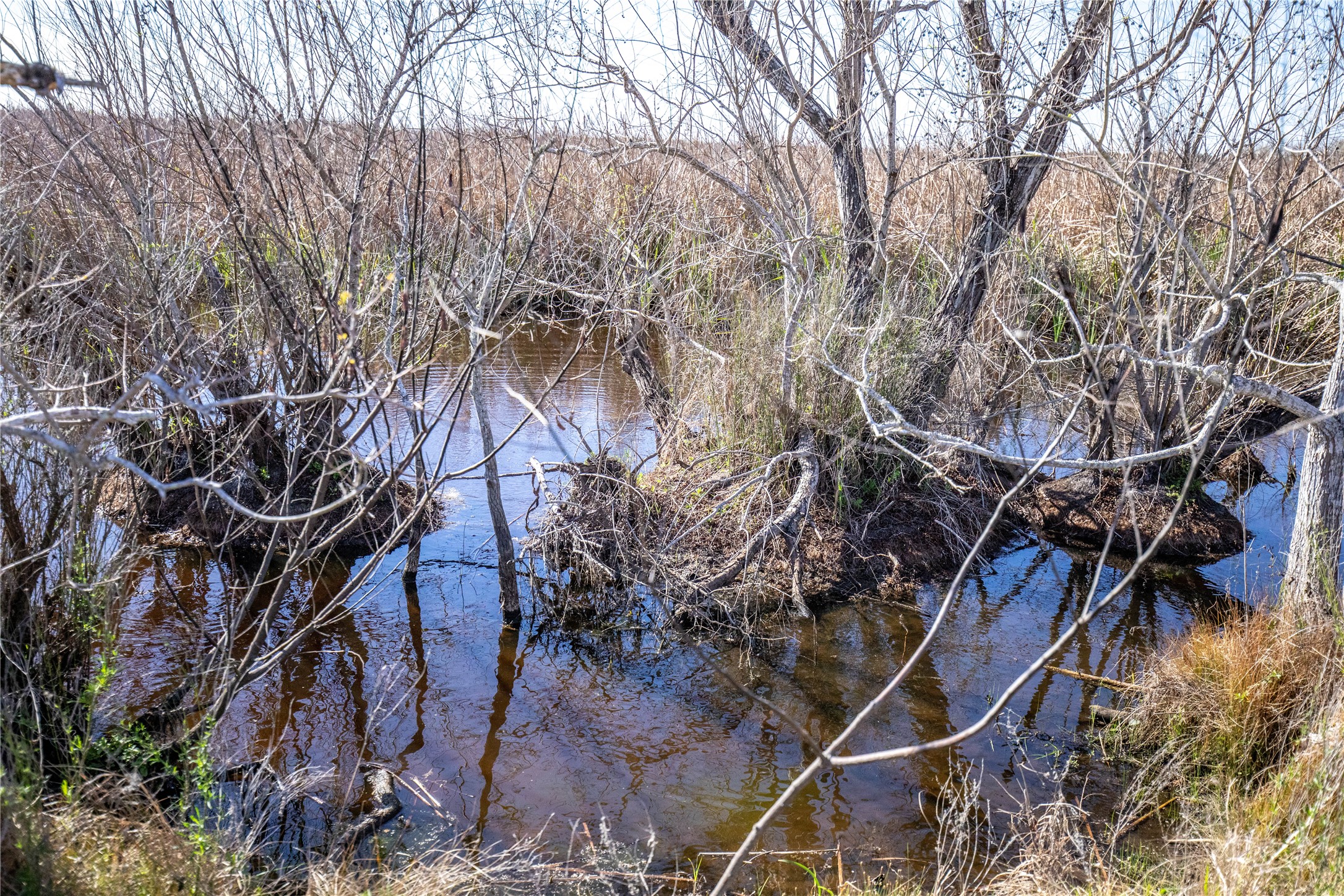 main property photo 20