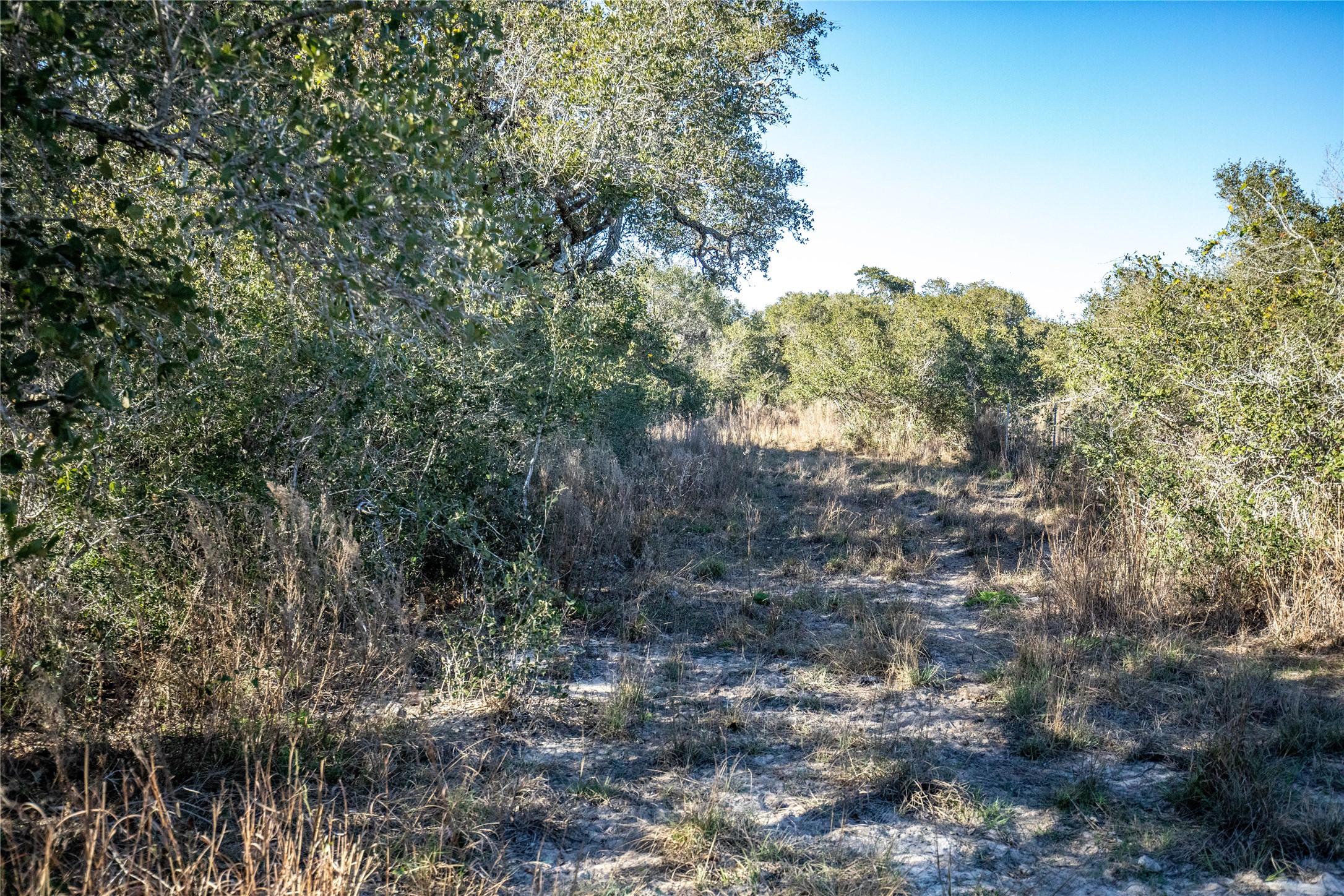 main property photo 34