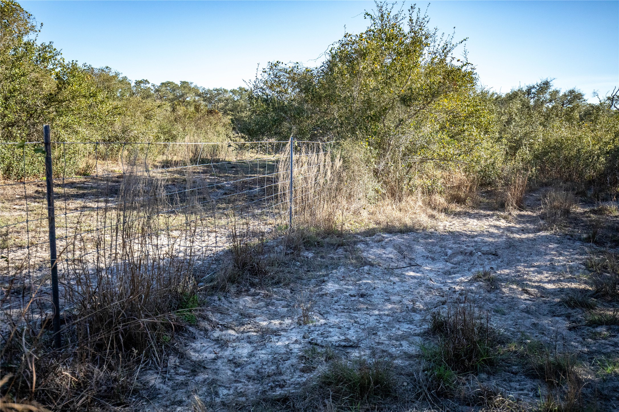 main property photo 35