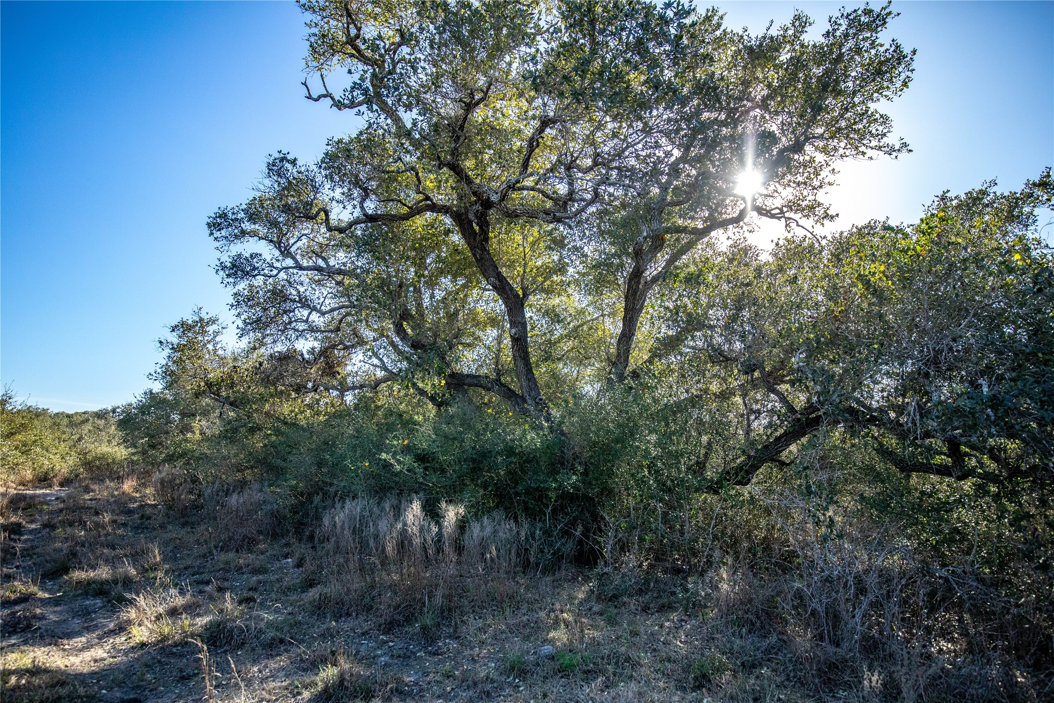 main property photo 37