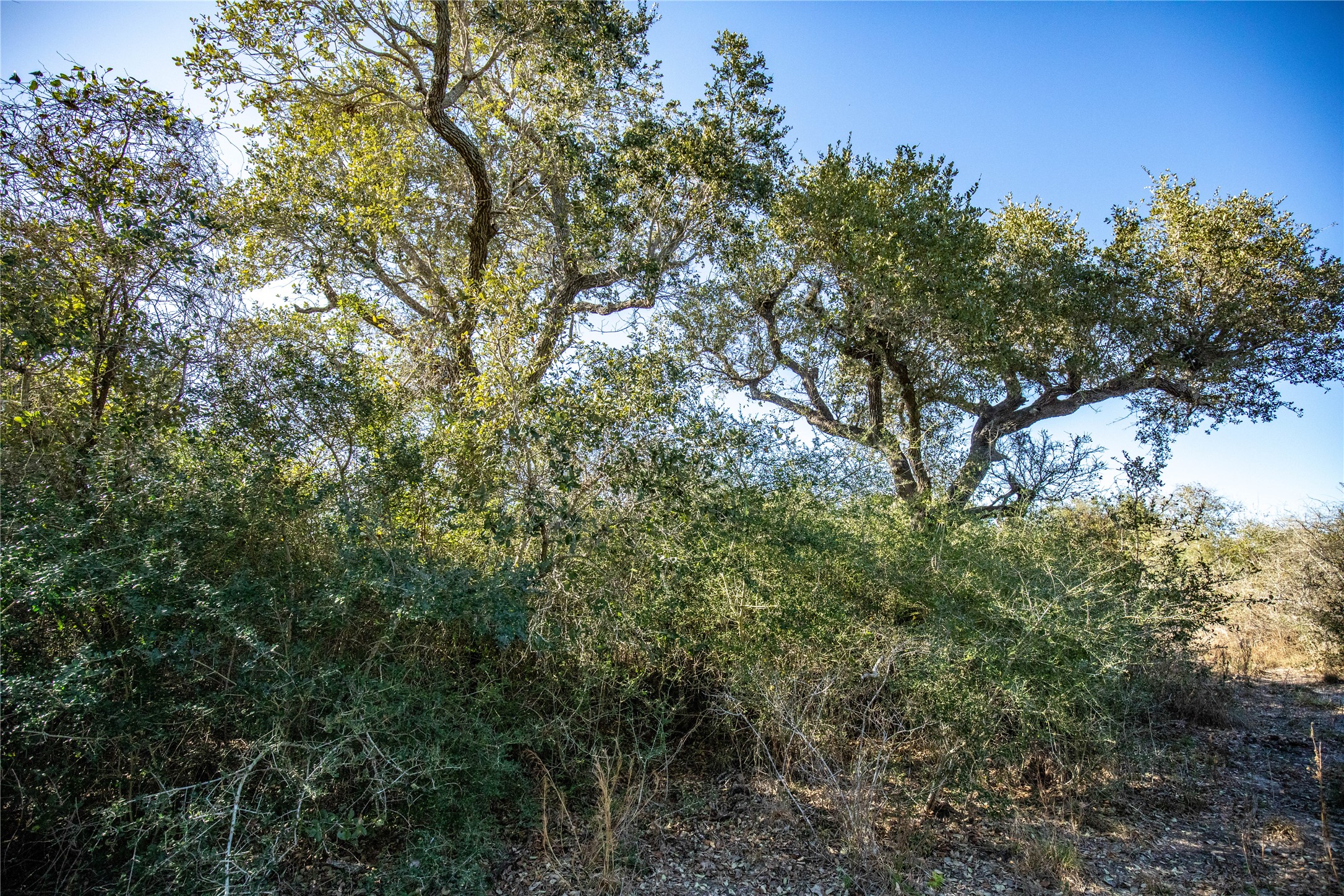 main property photo 38