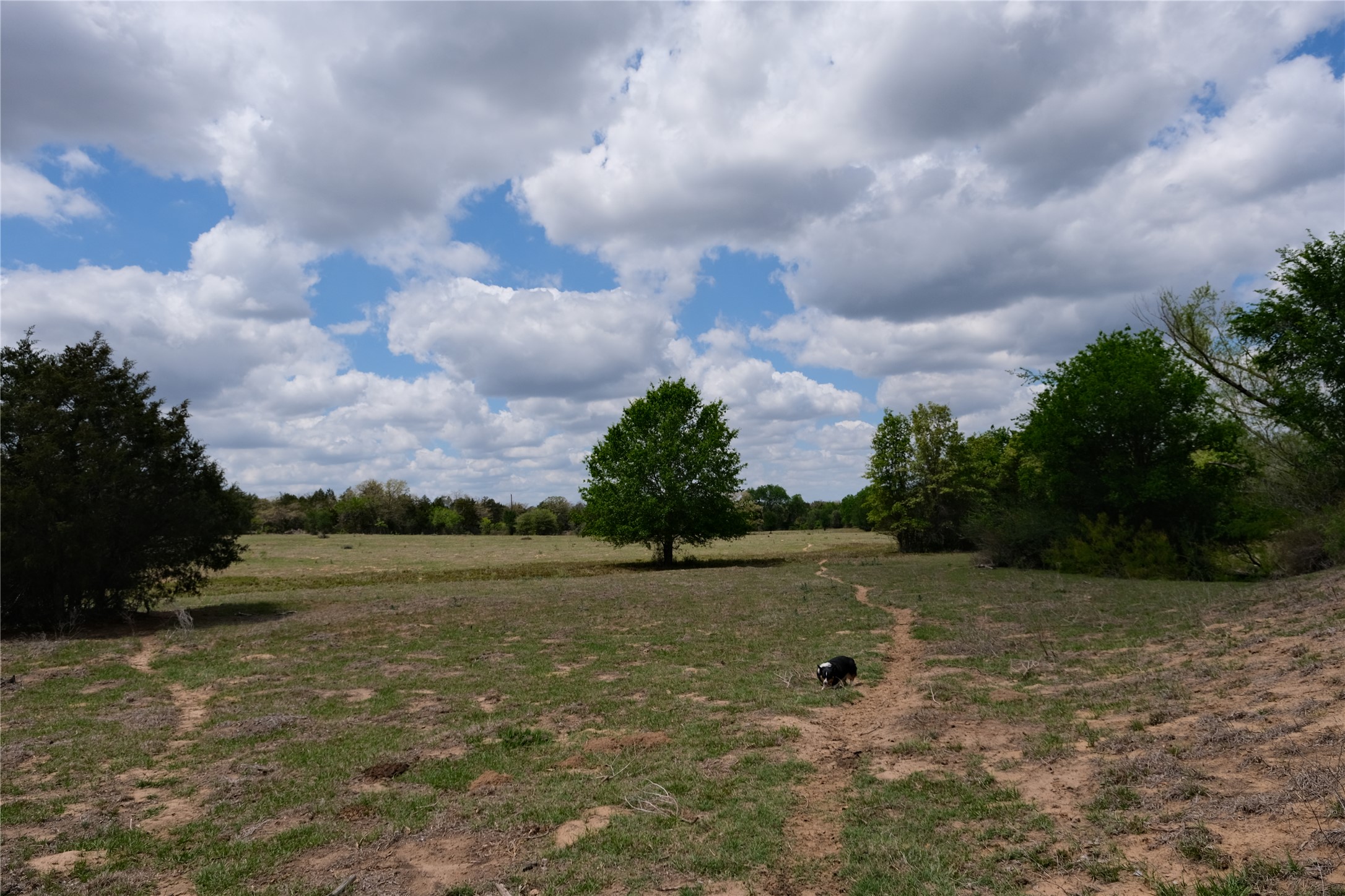 main property photo 11