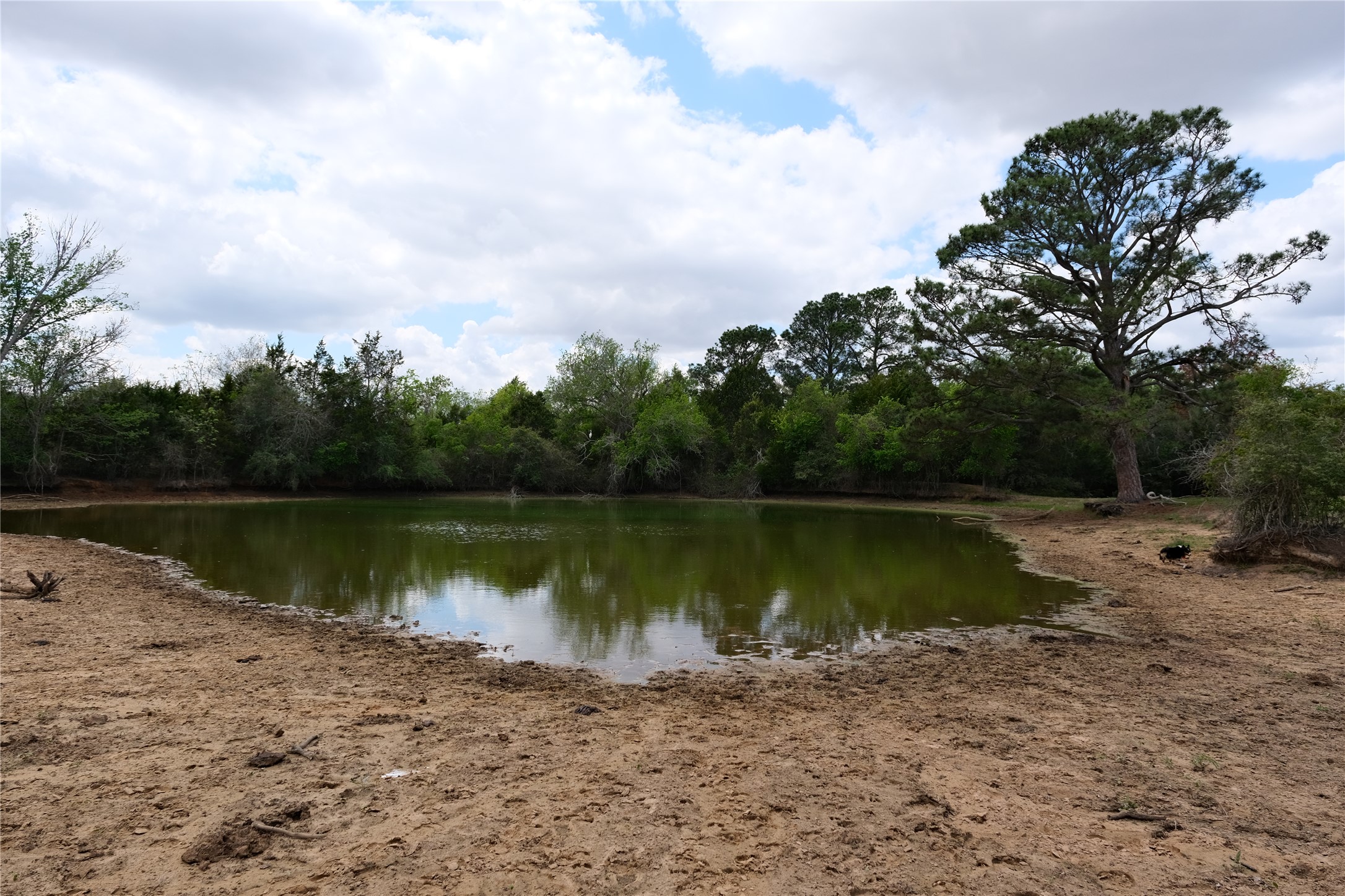main property photo 18