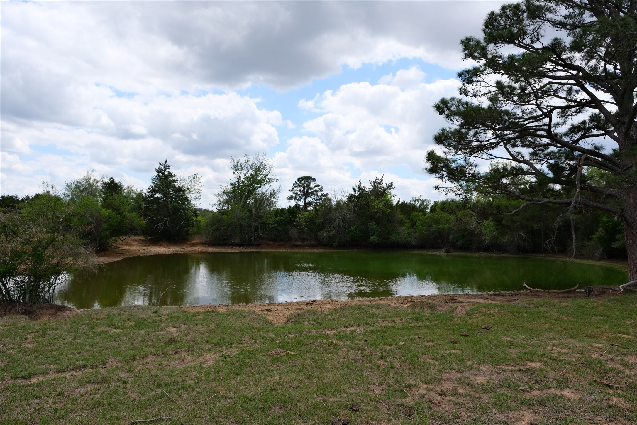 main property photo 19