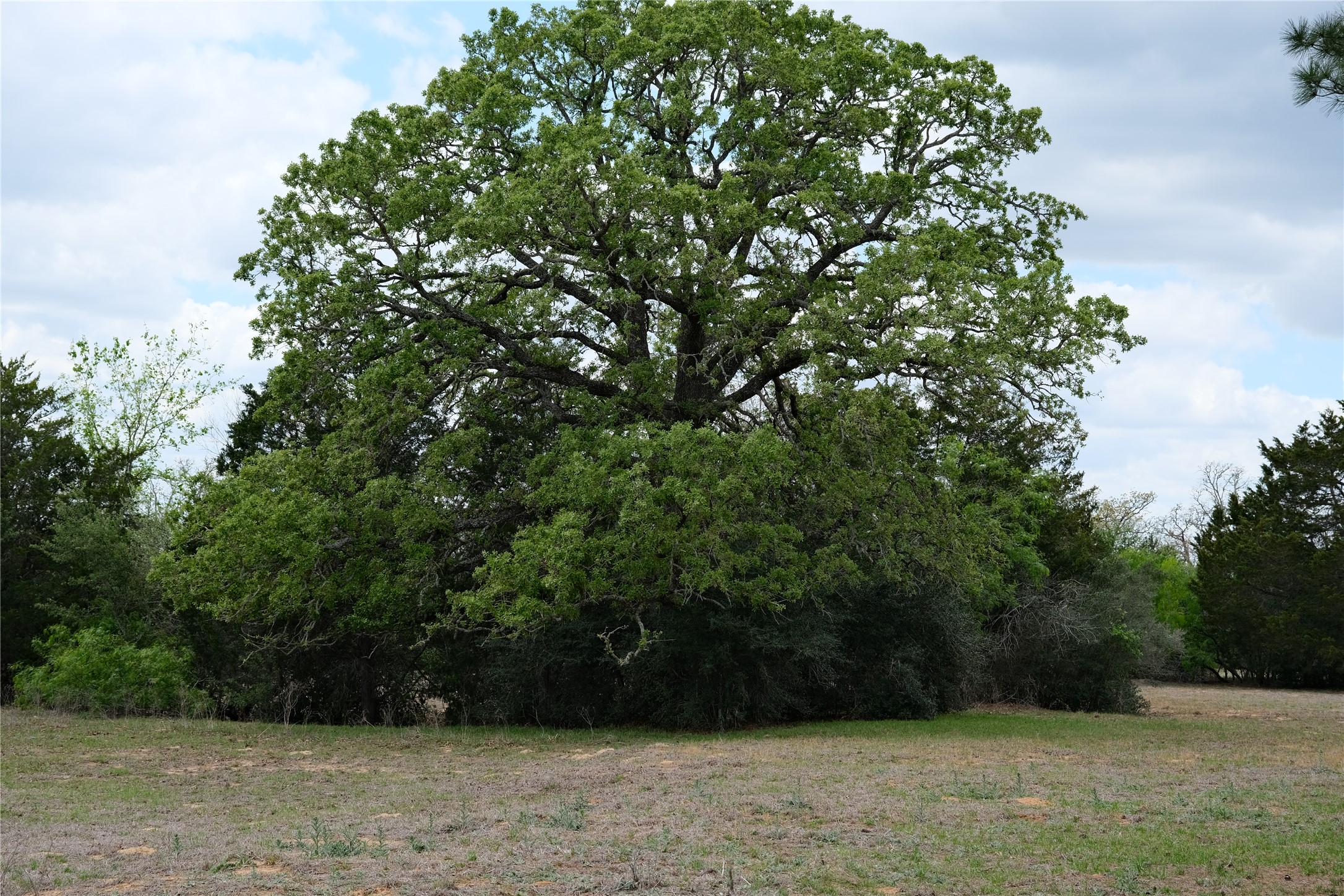 main property photo 25