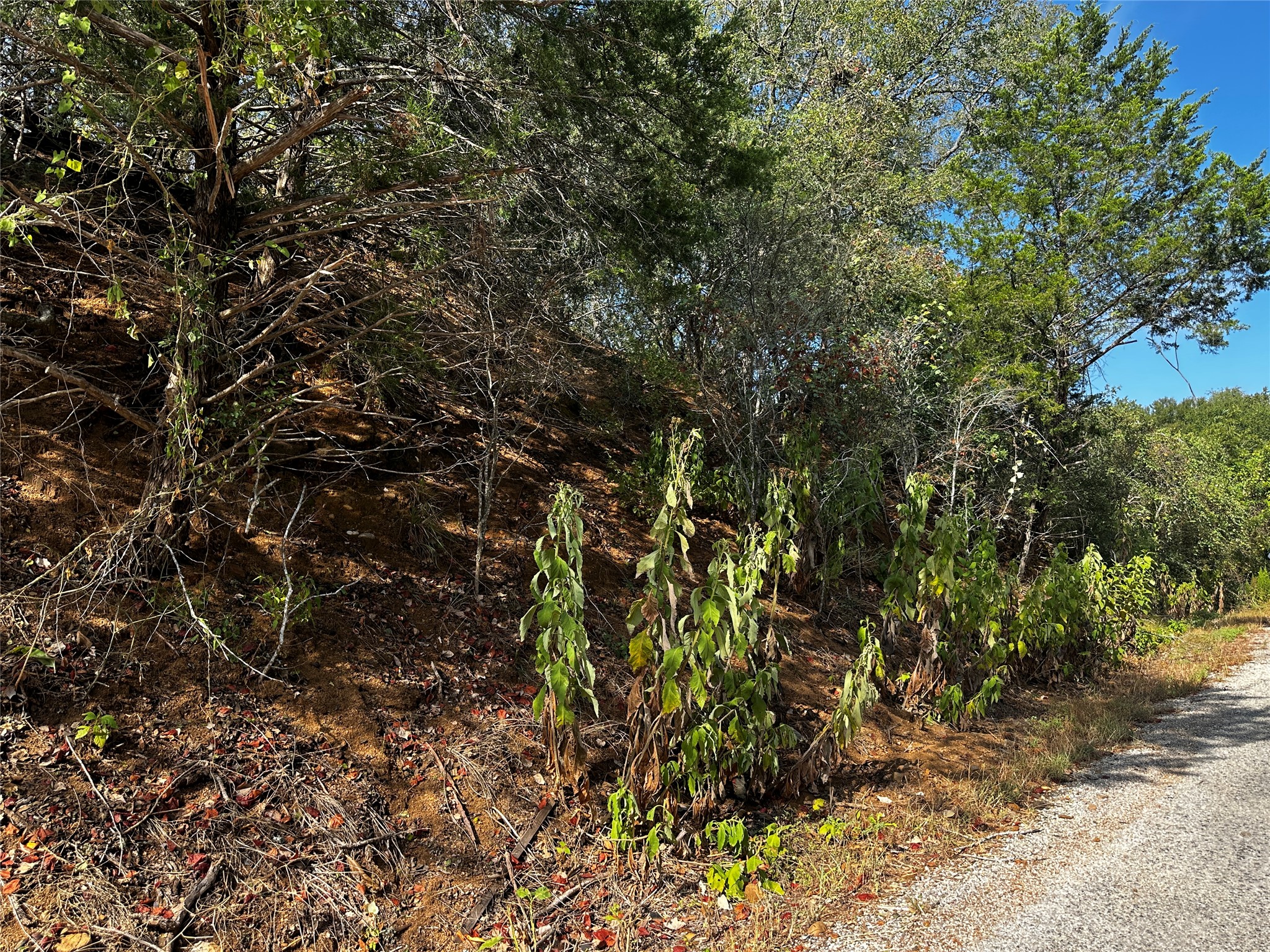 main property photo 8