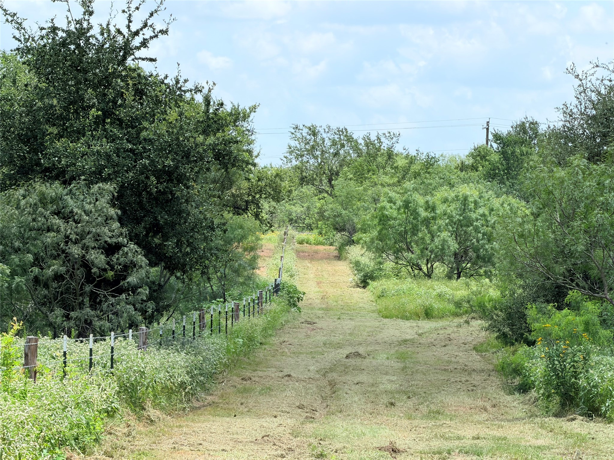 main property photo 20