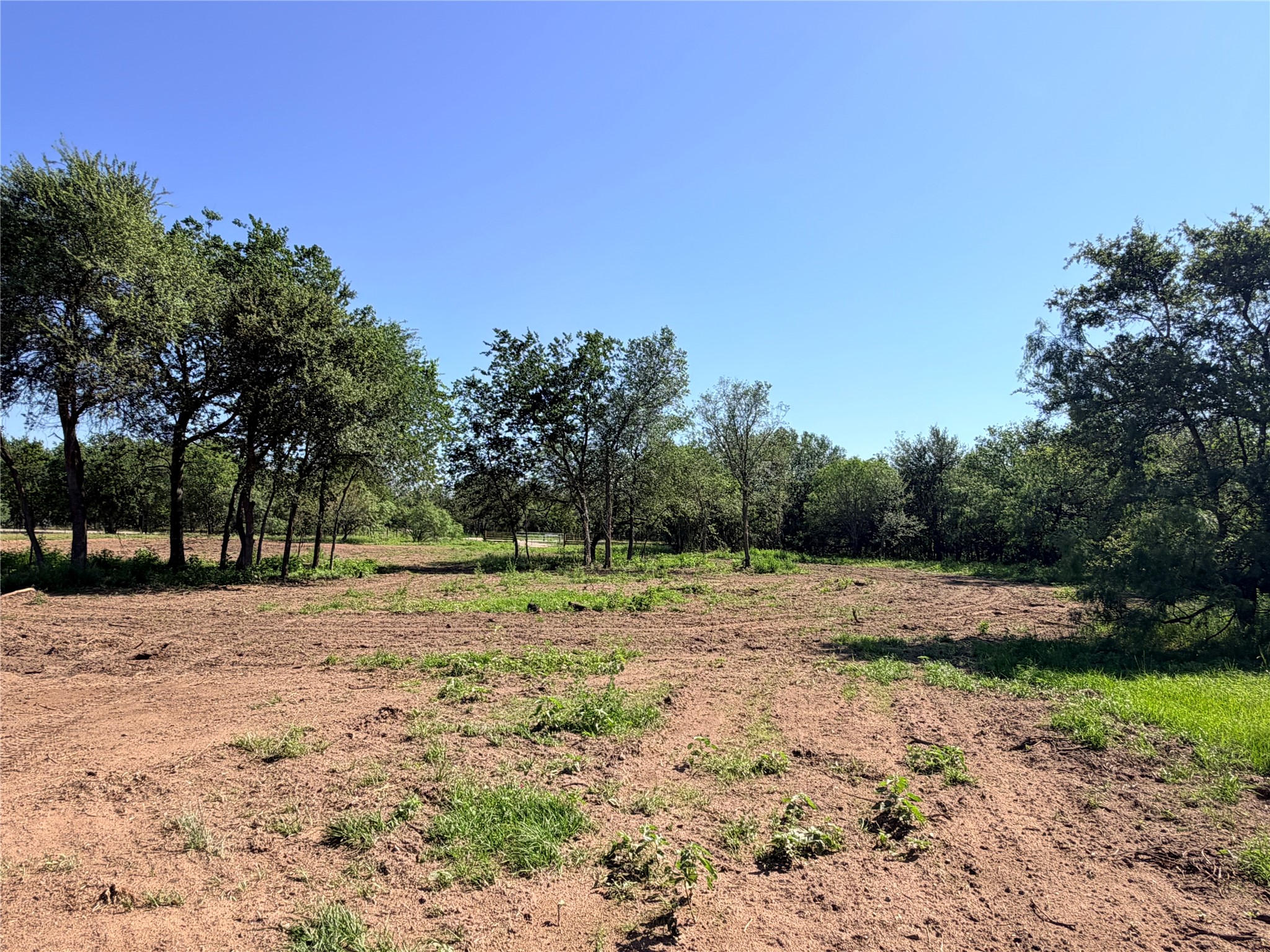 main property photo 6