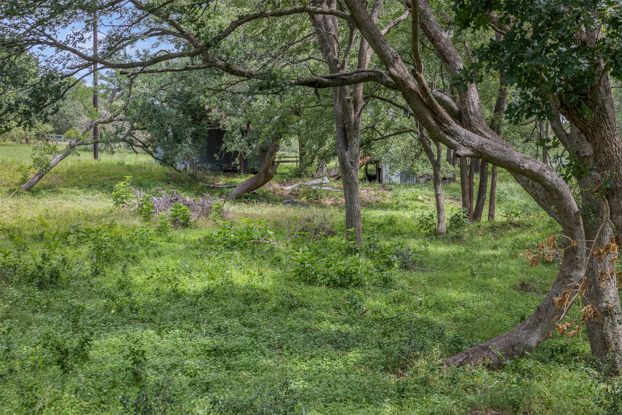 main property photo 20
