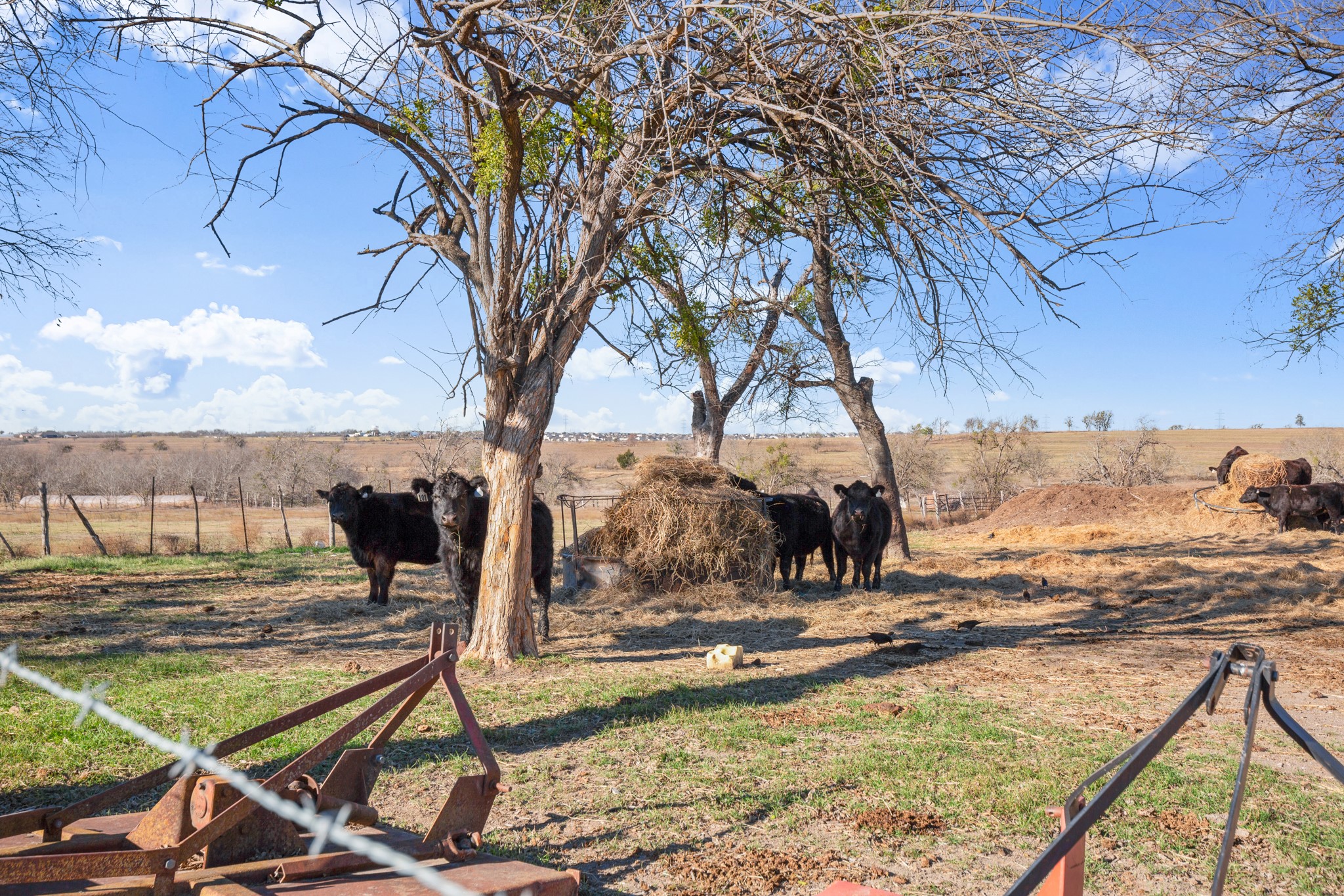 main property photo 26