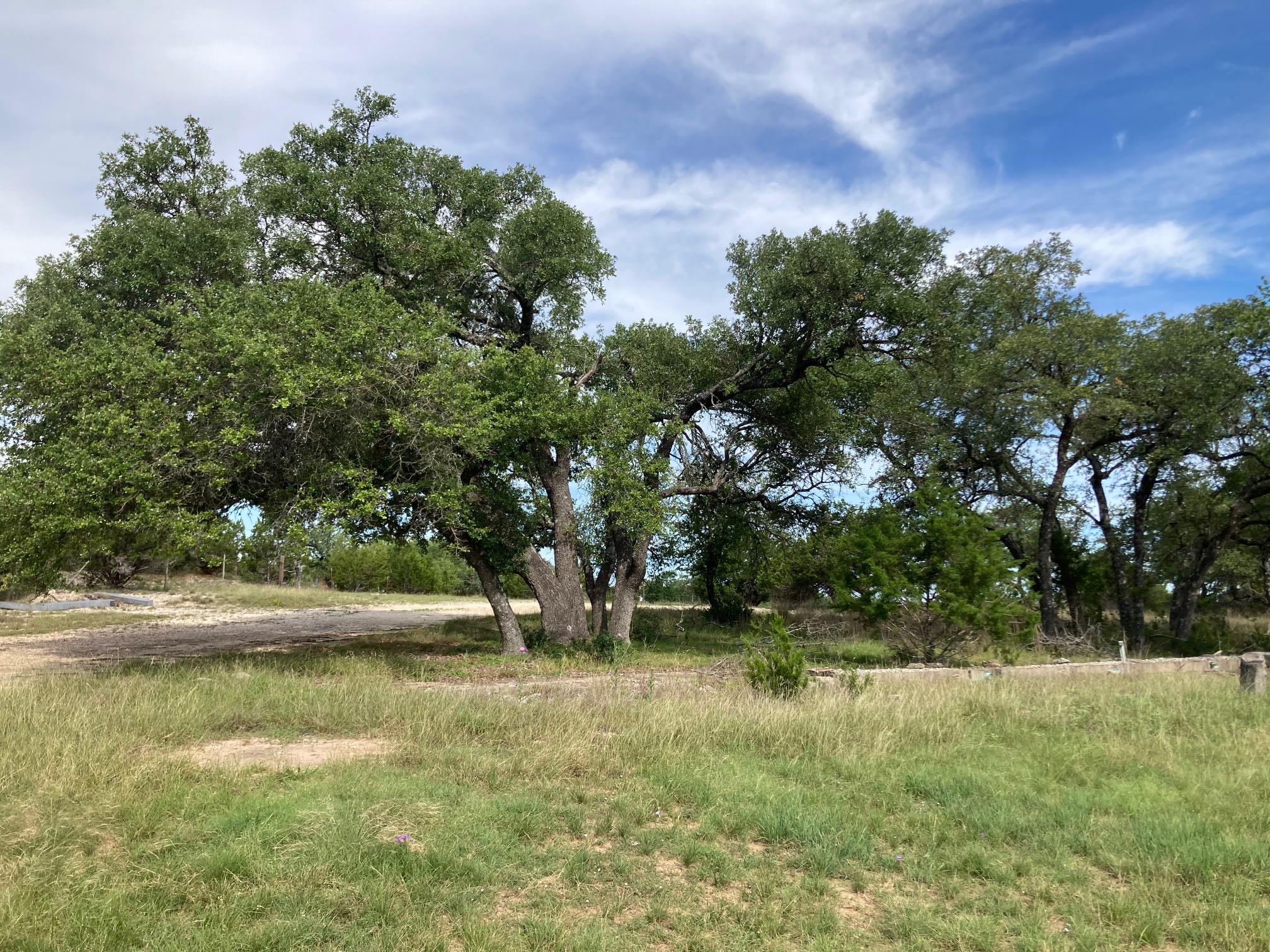 main property photo 16