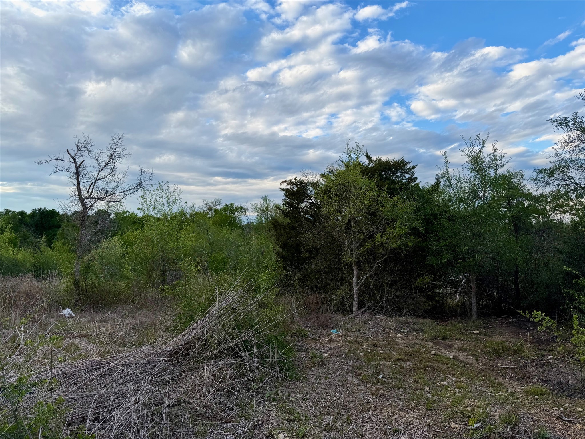 main property photo 16