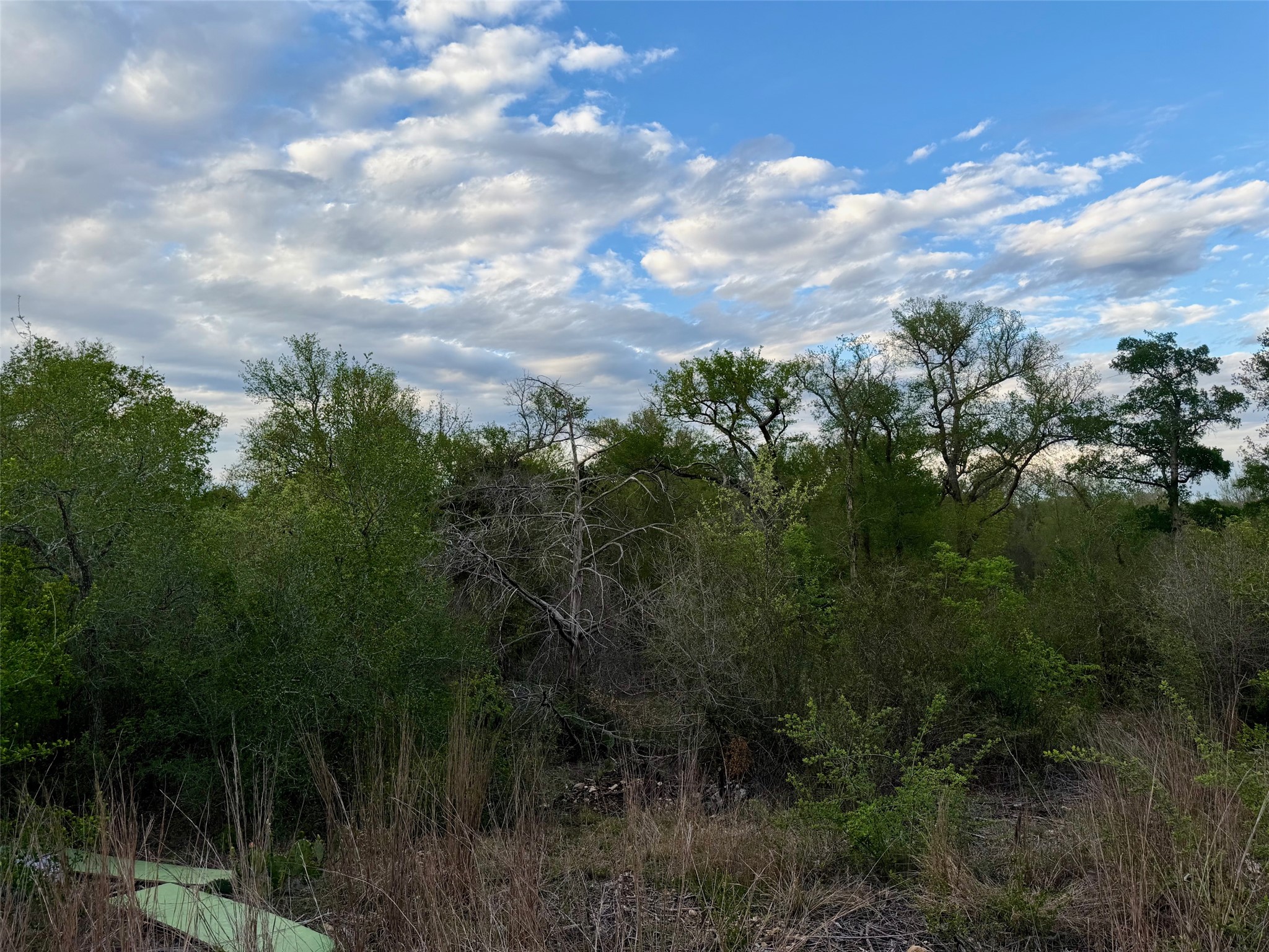 main property photo 17