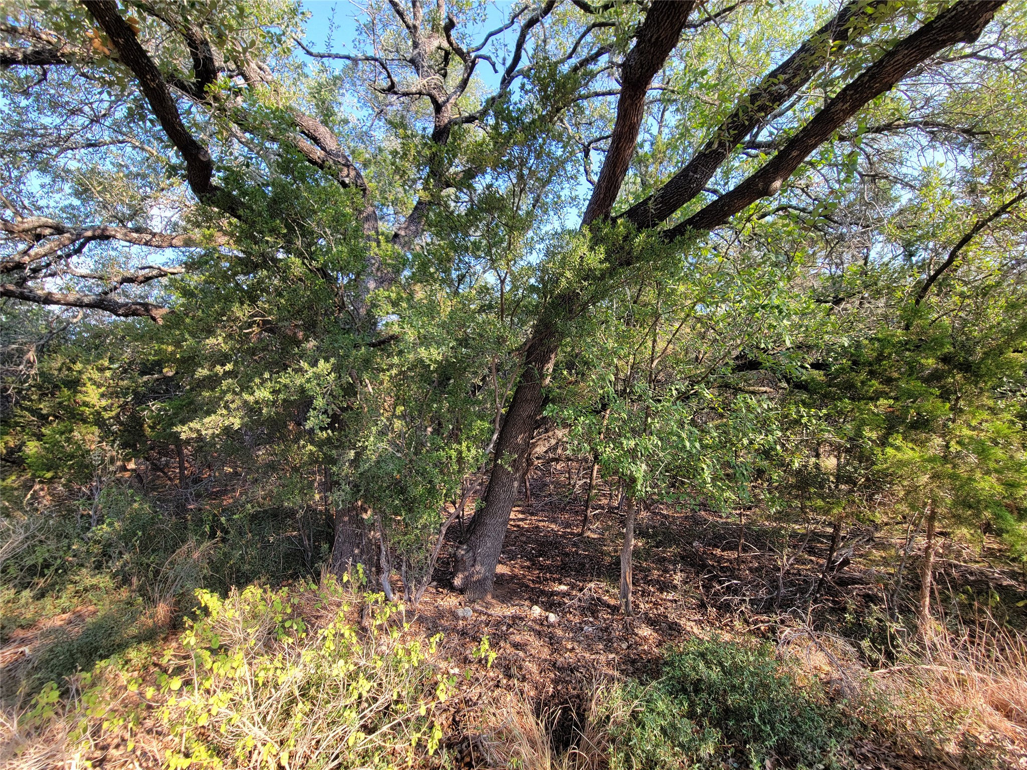 main property photo 6