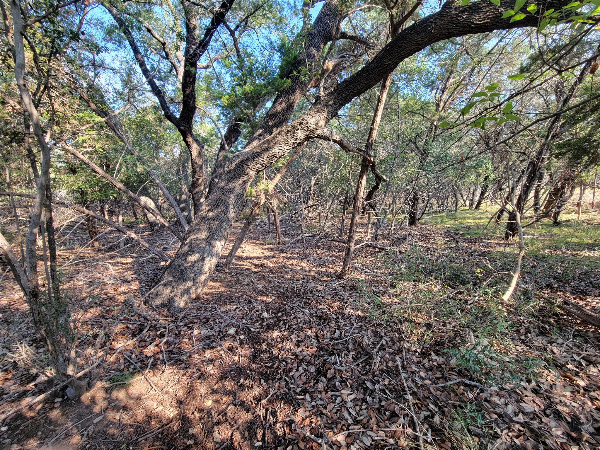main property photo 7