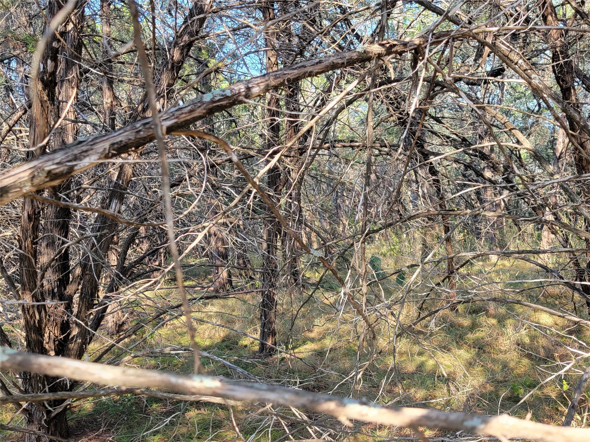 main property photo 8