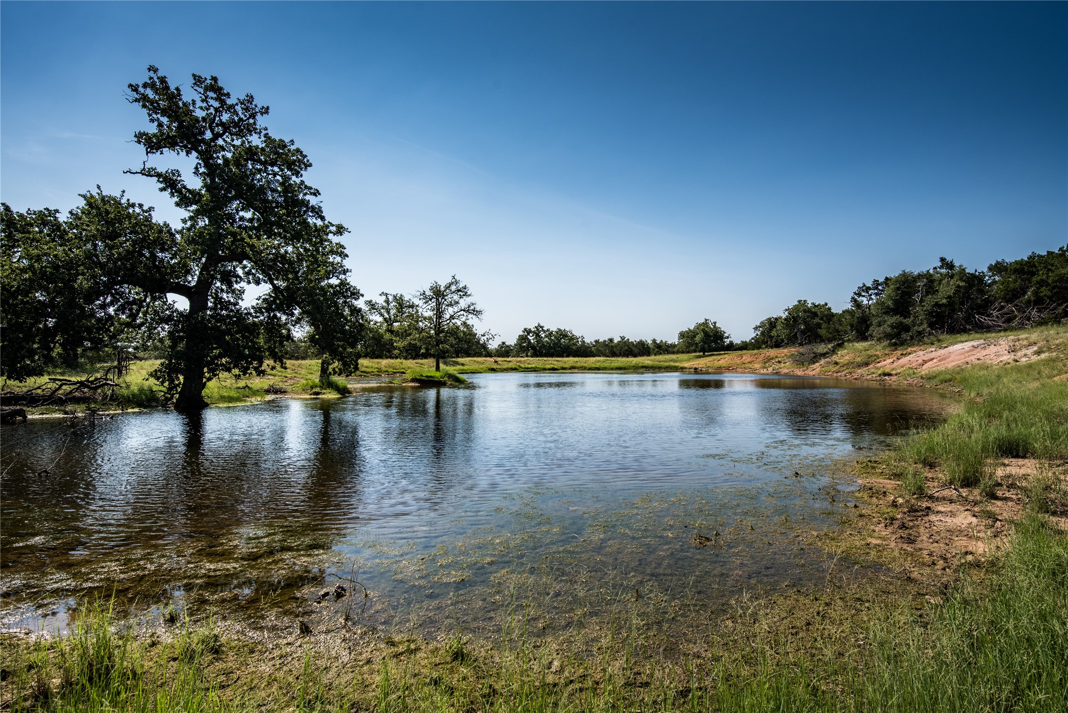 main property photo 11