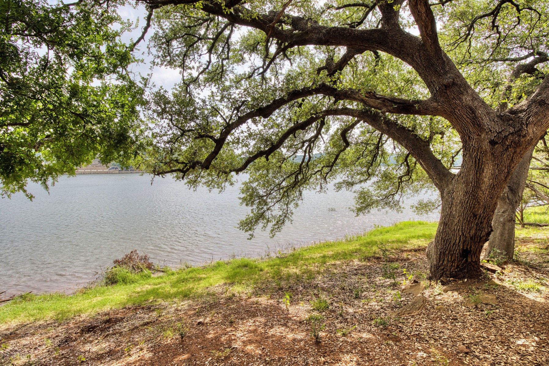 main property photo 19