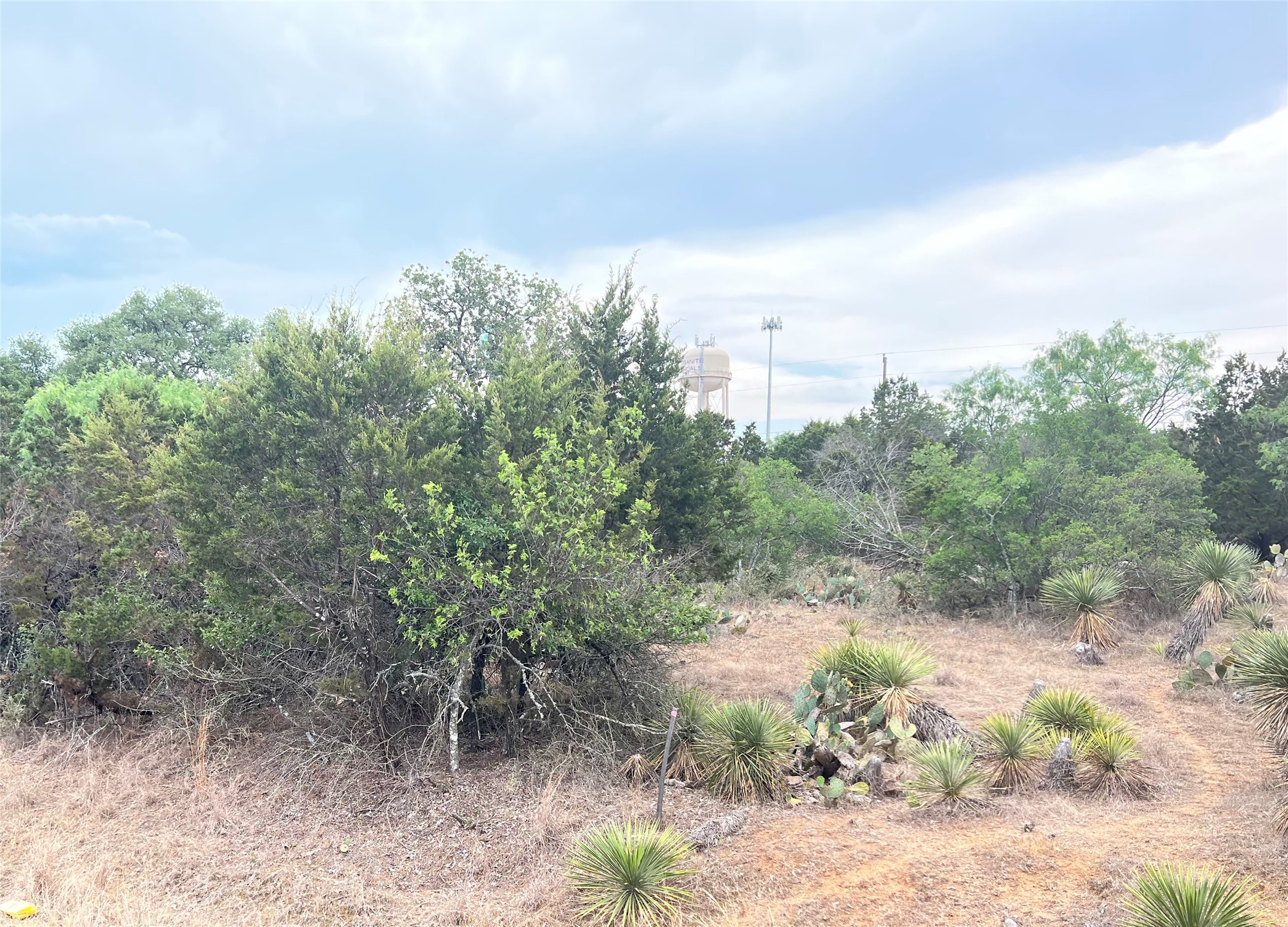 main property photo 7