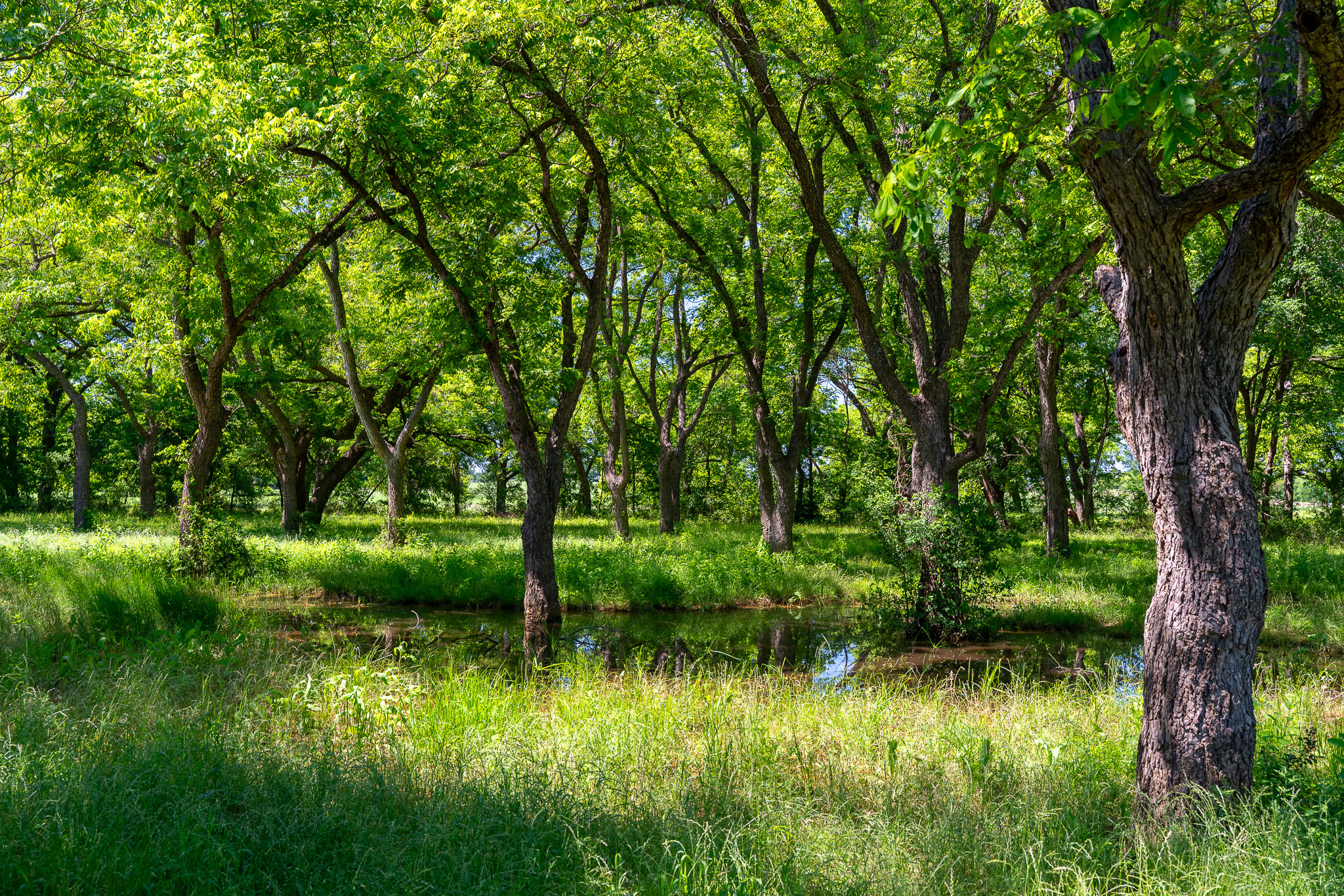 main property photo 11