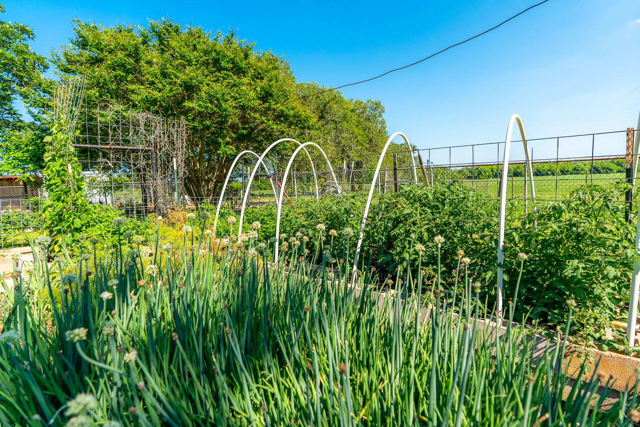 main property photo 32