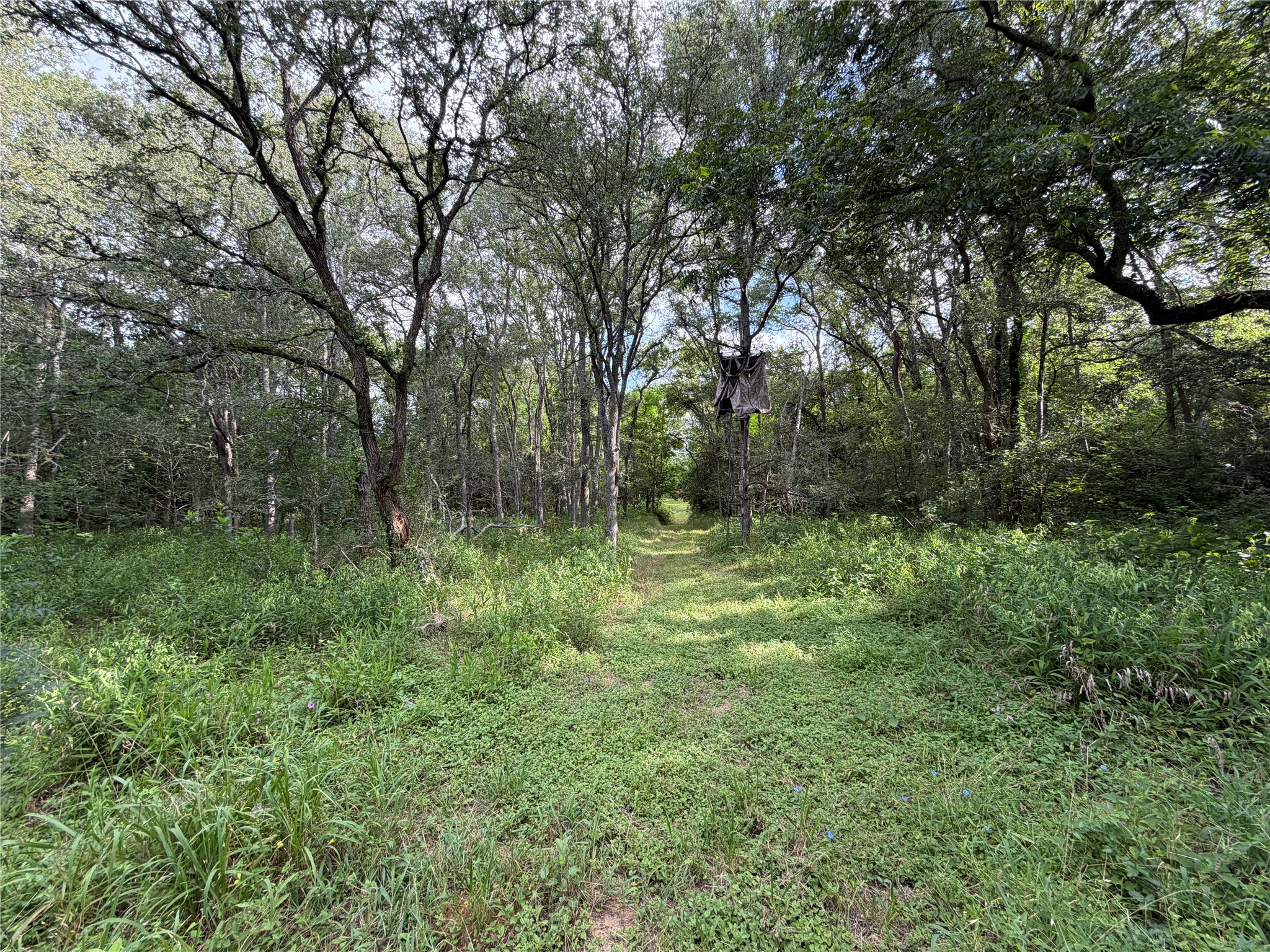 main property photo 35