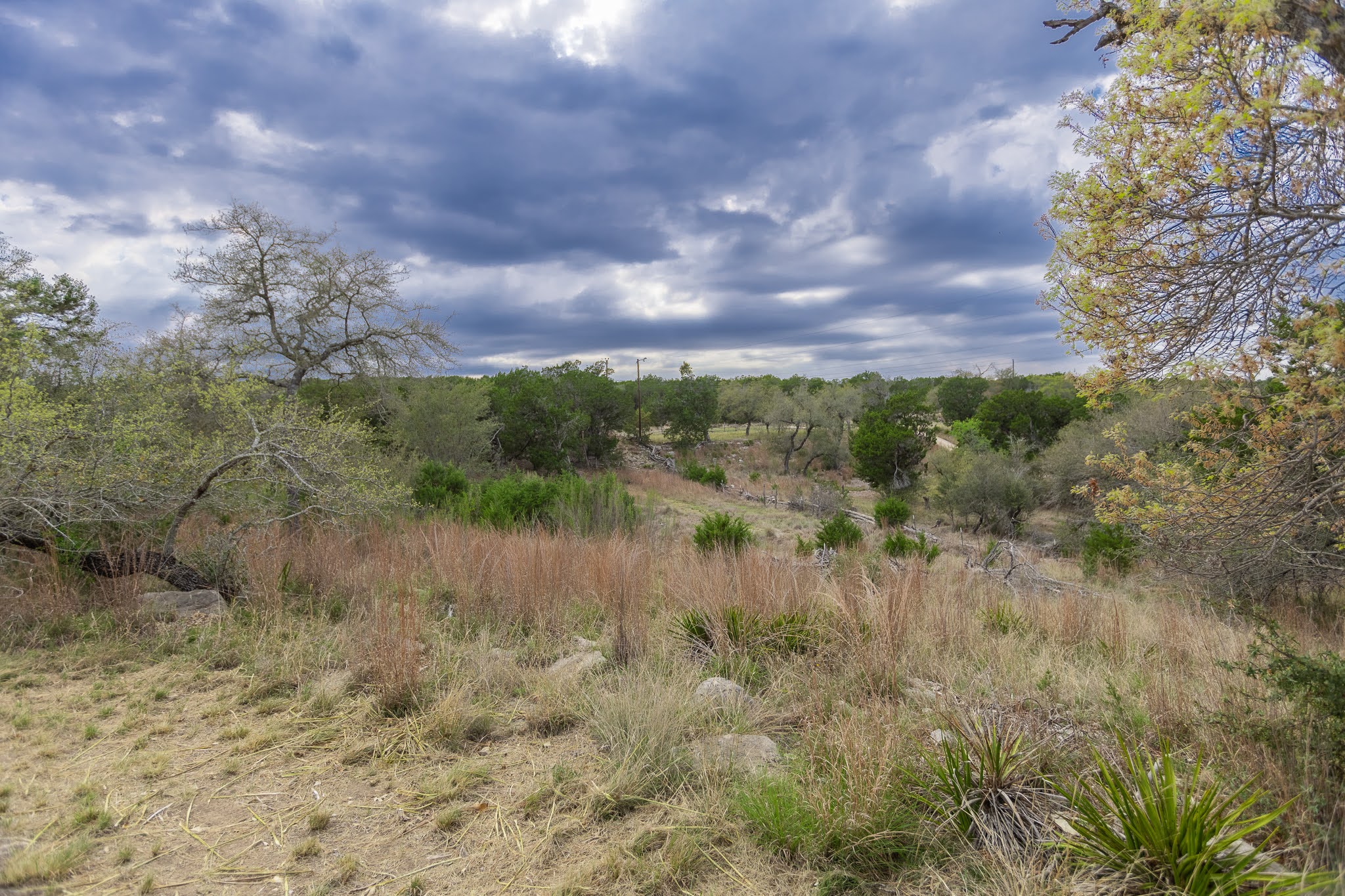 main property photo 9
