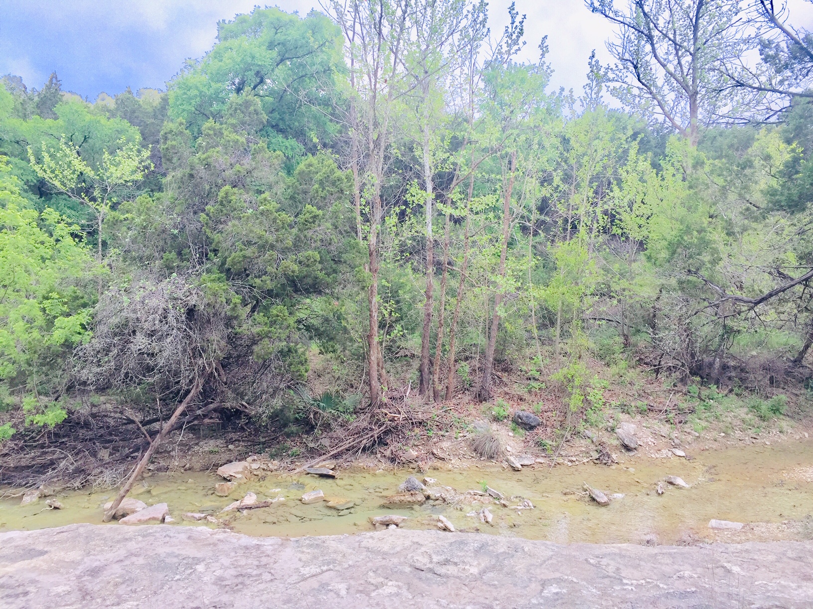 main property photo 16