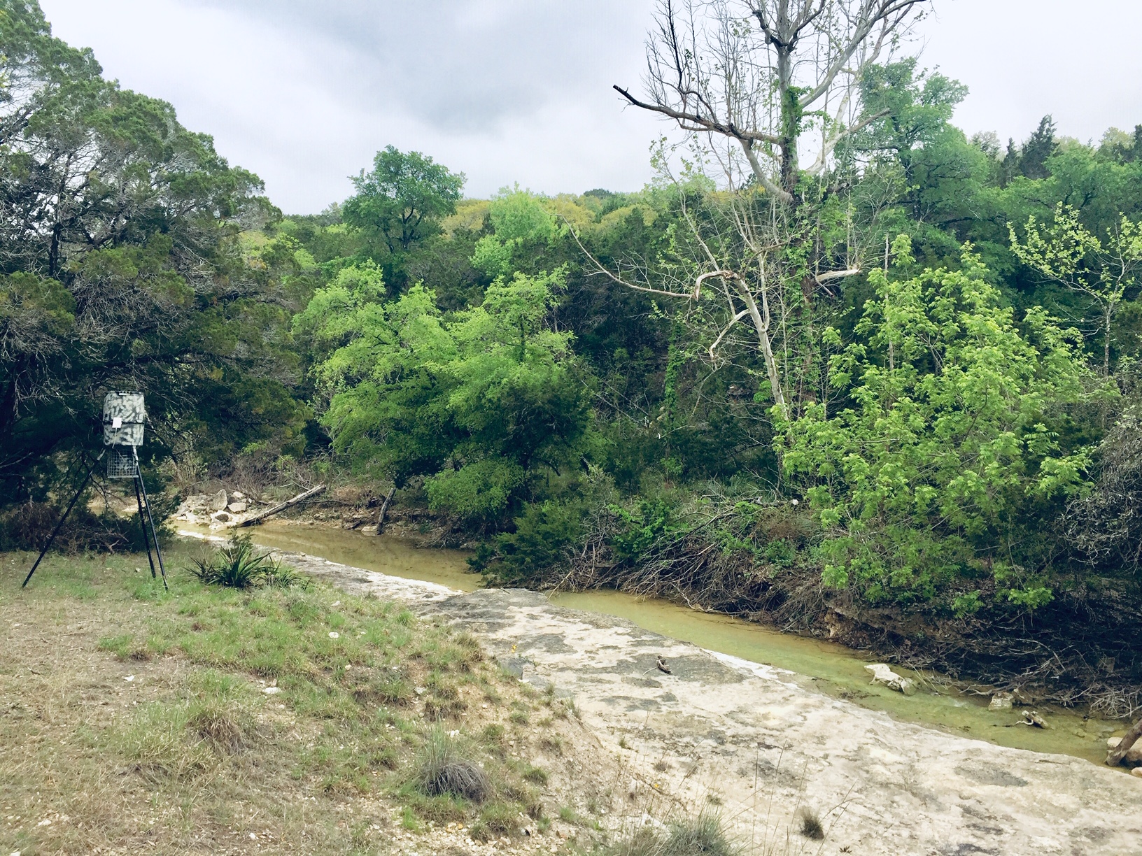 main property photo 17