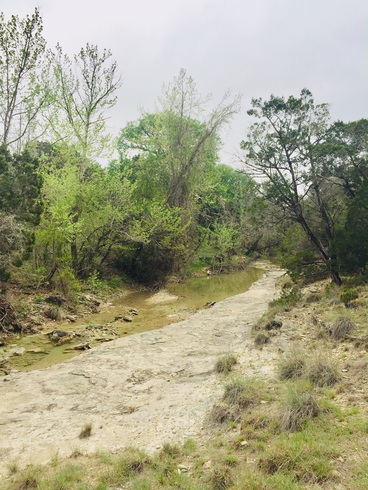 main property photo 18