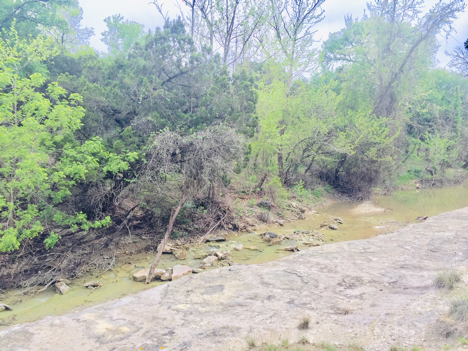 main property photo 19