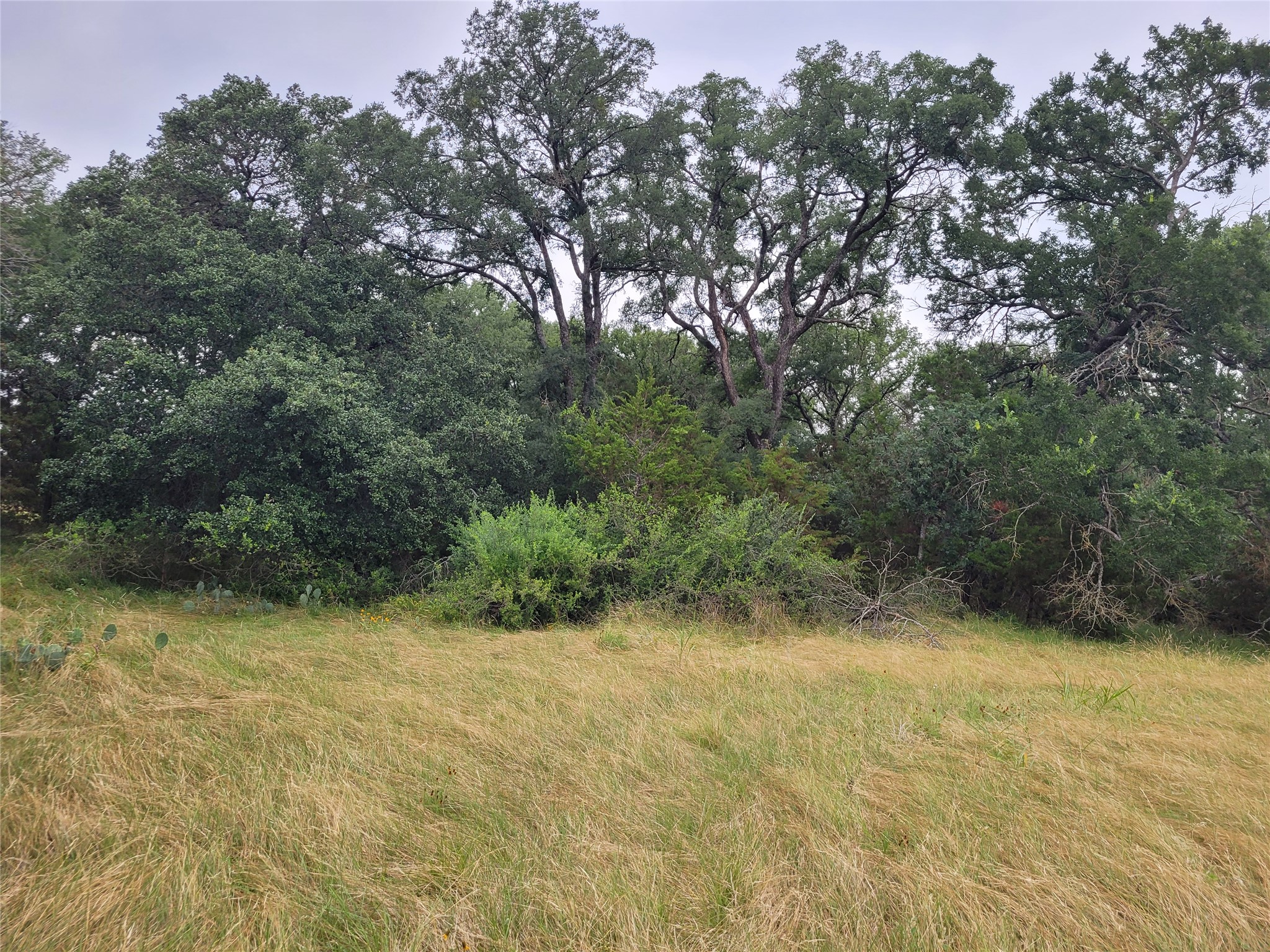 main property photo 20