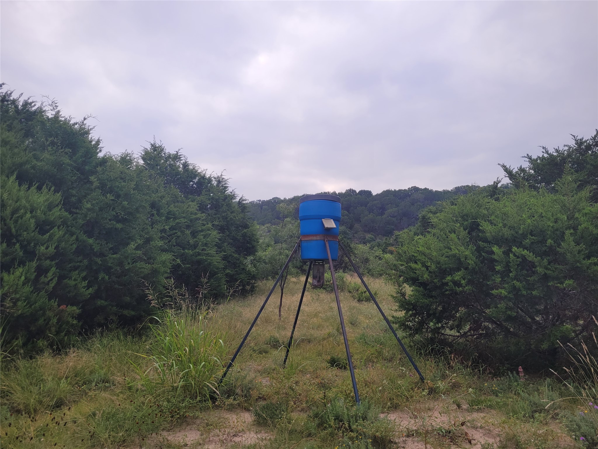 main property photo 34
