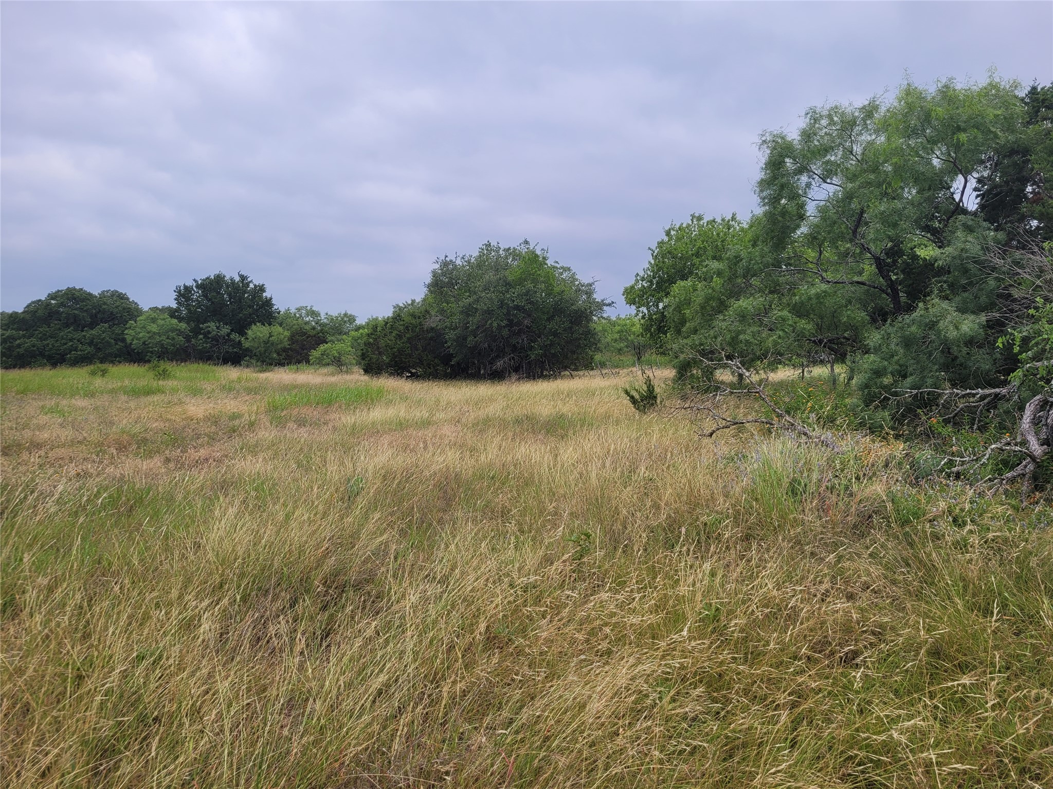 main property photo 37
