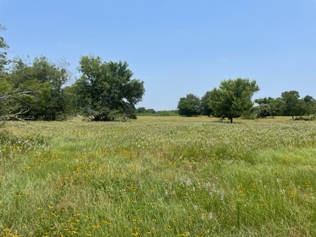 main property photo 10