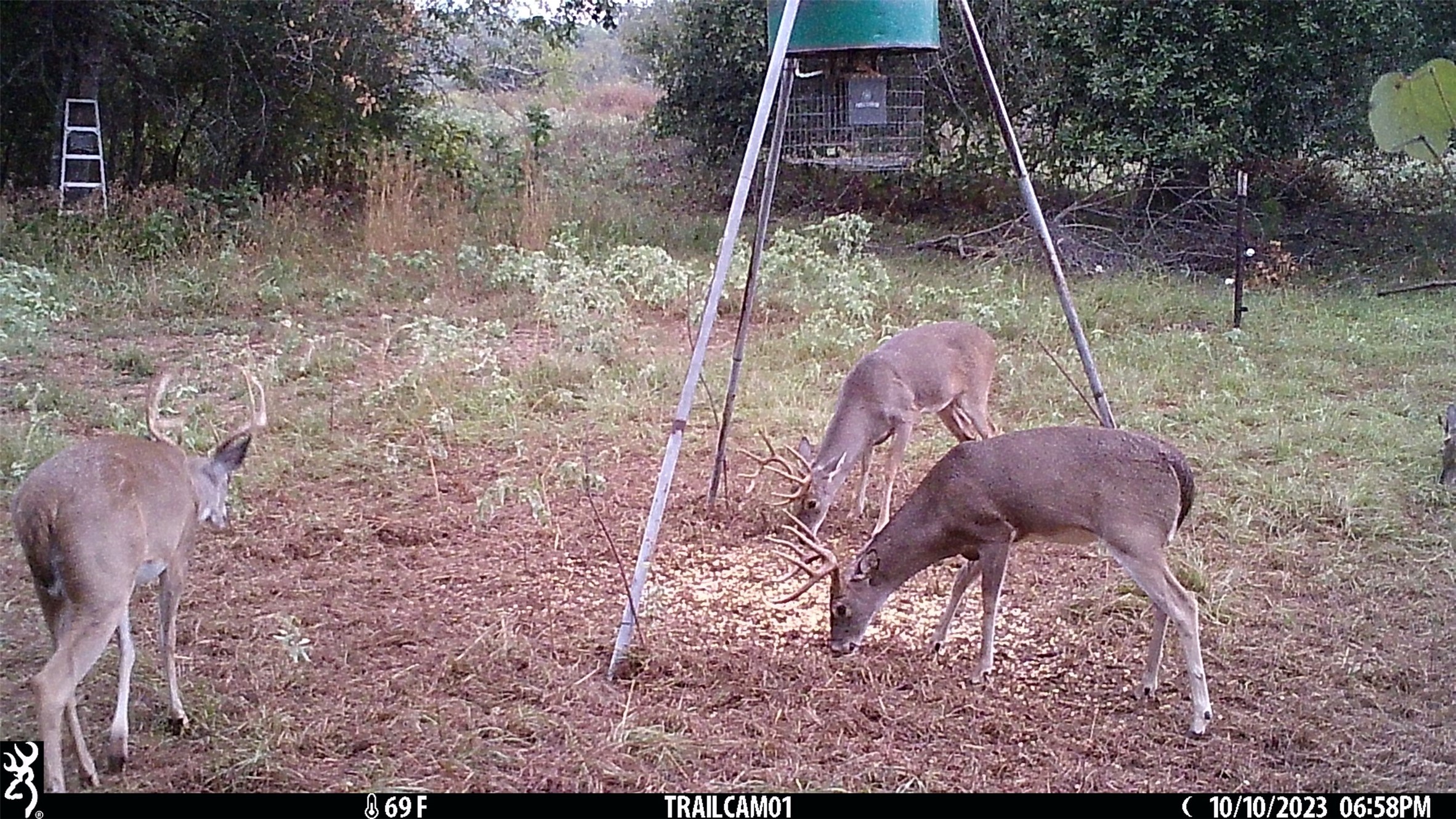 main property photo 29