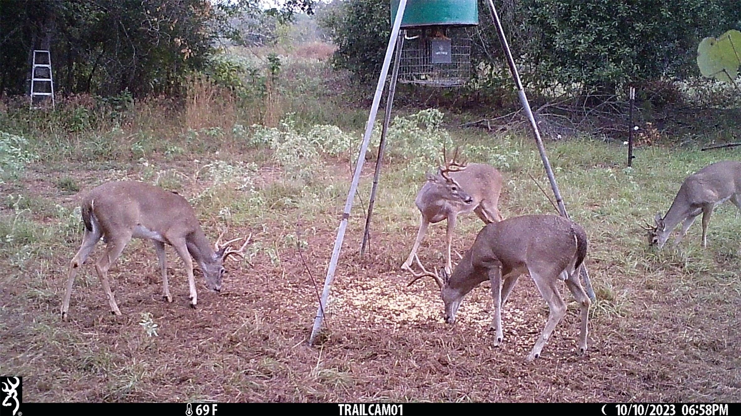 main property photo 30