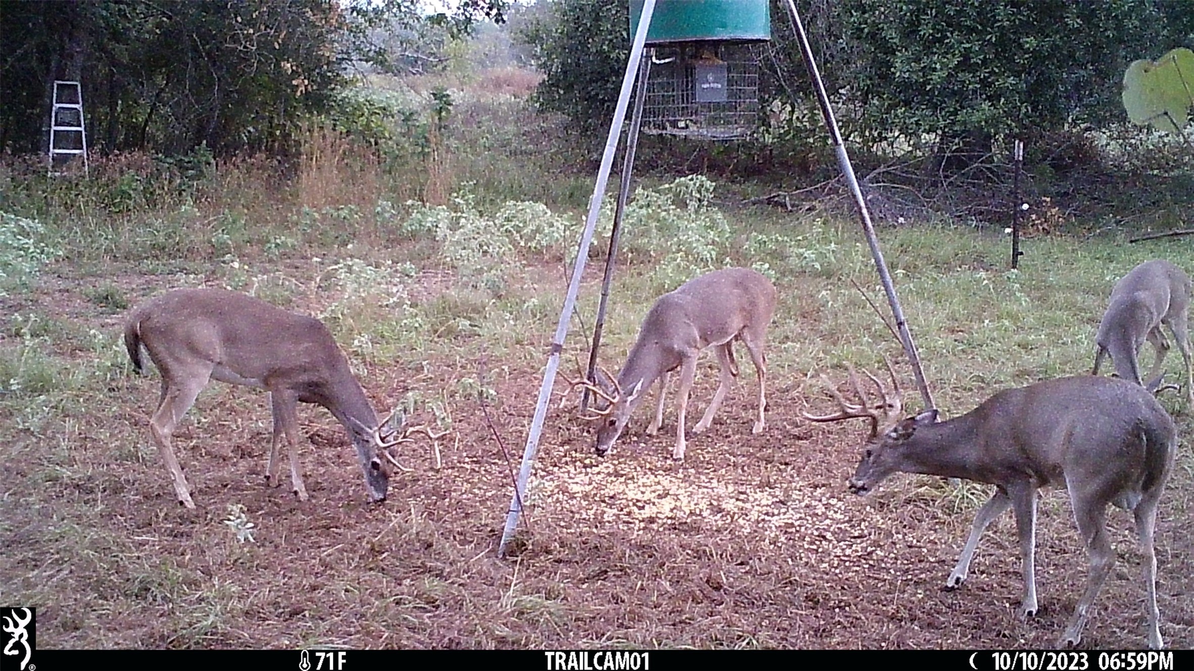 main property photo 31