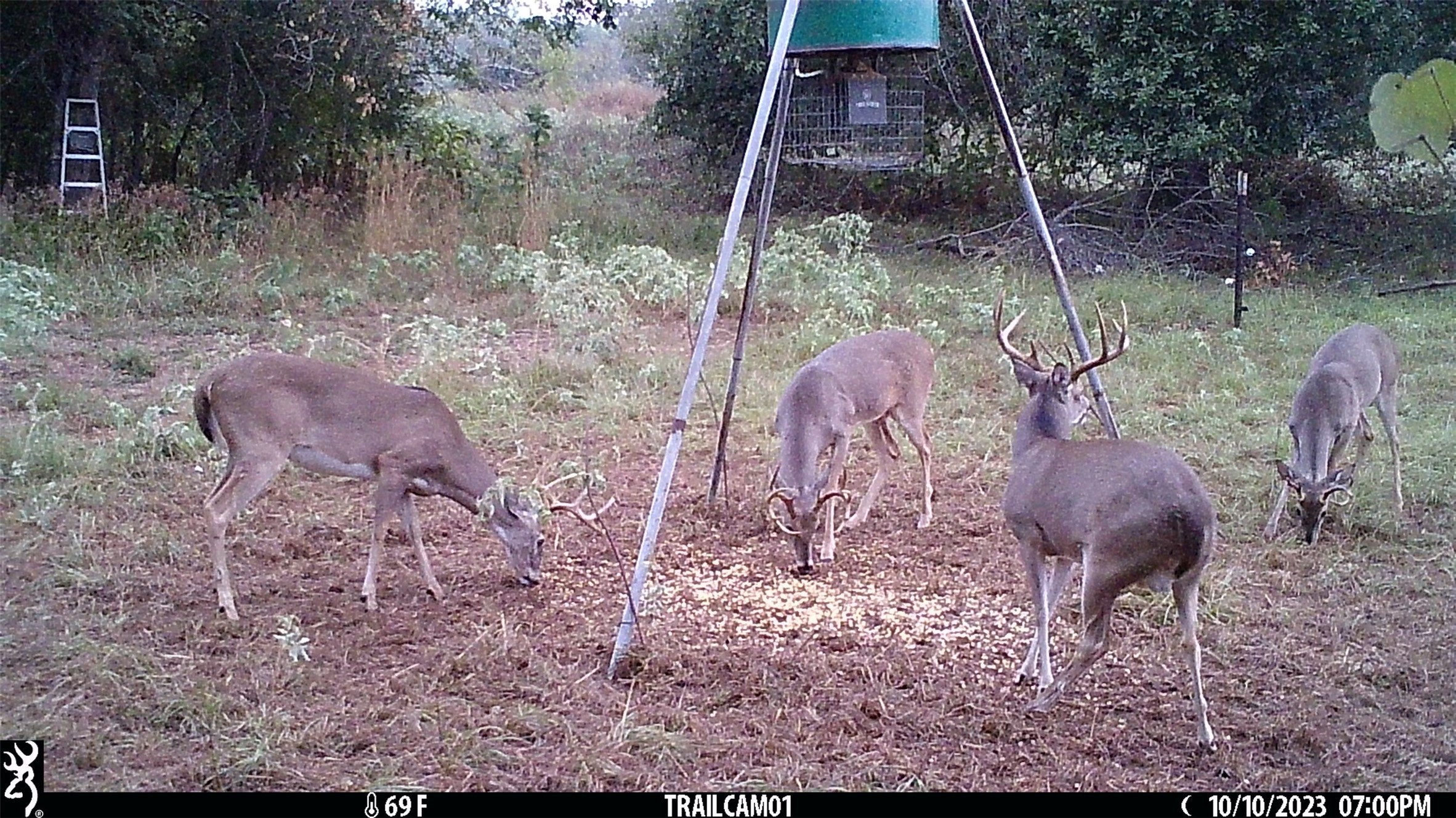 main property photo 32