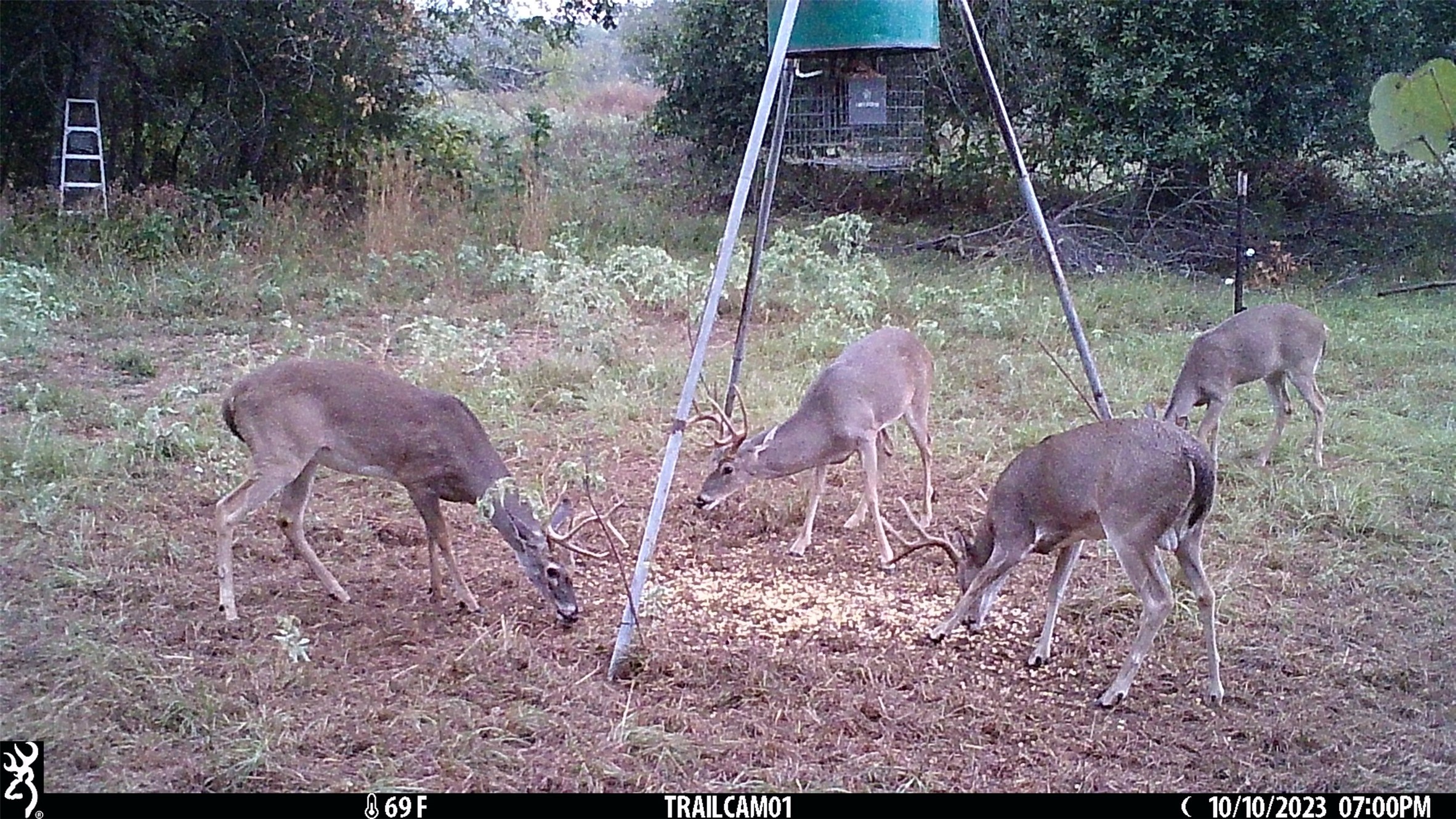 main property photo 33