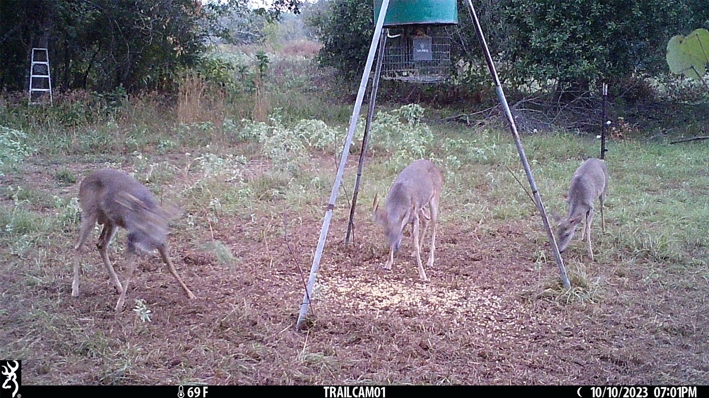 main property photo 34