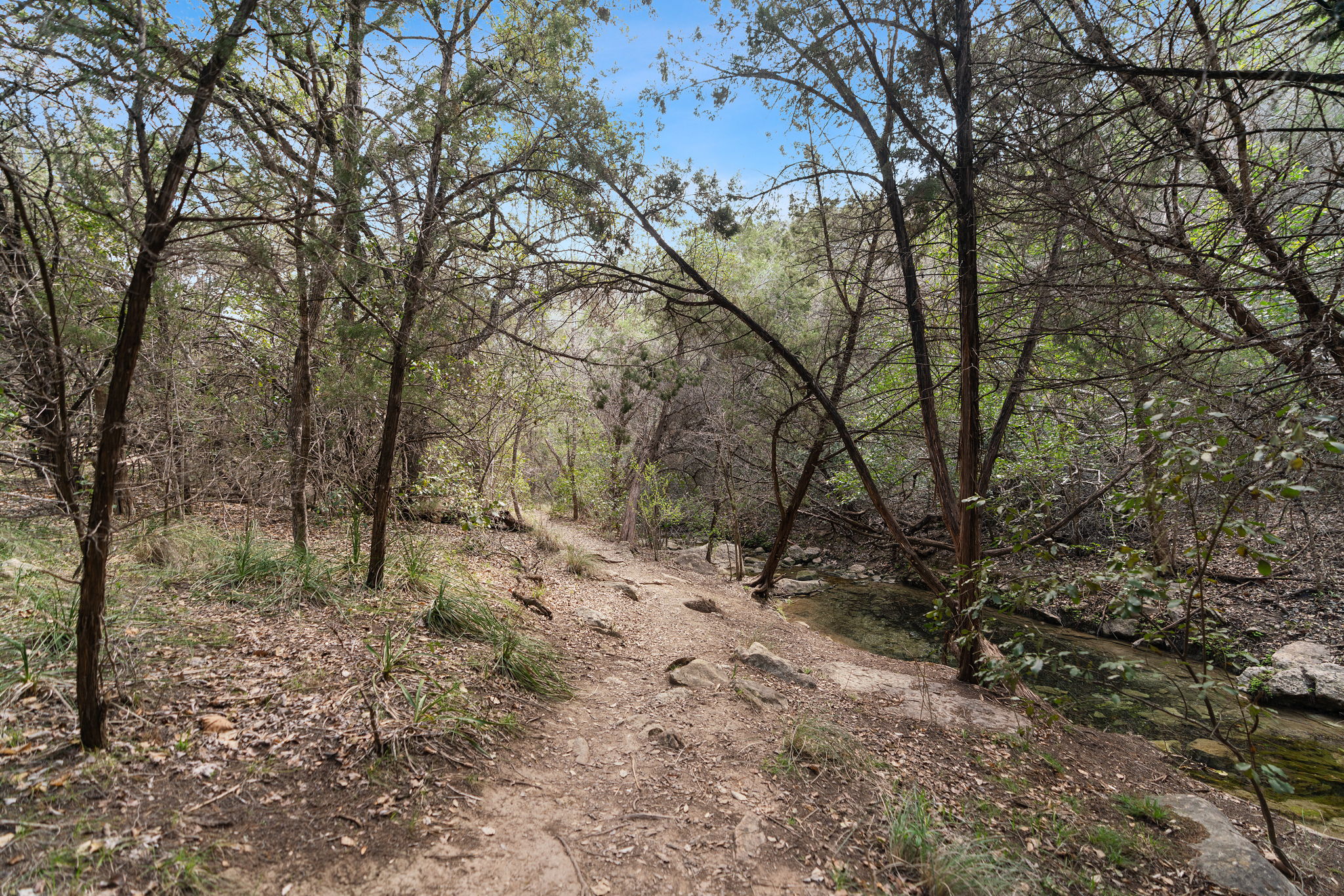 main property photo 29