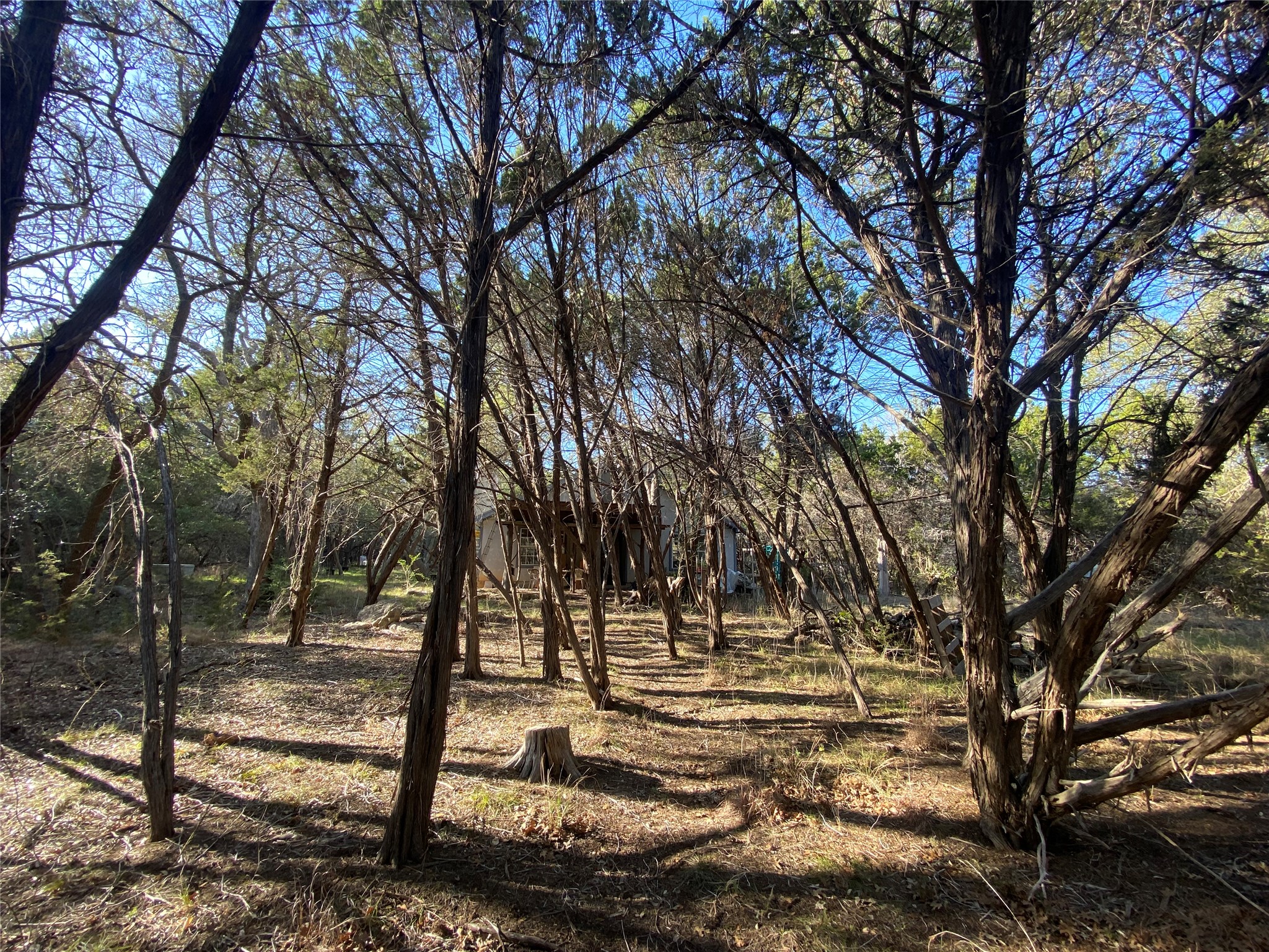 main property photo 13