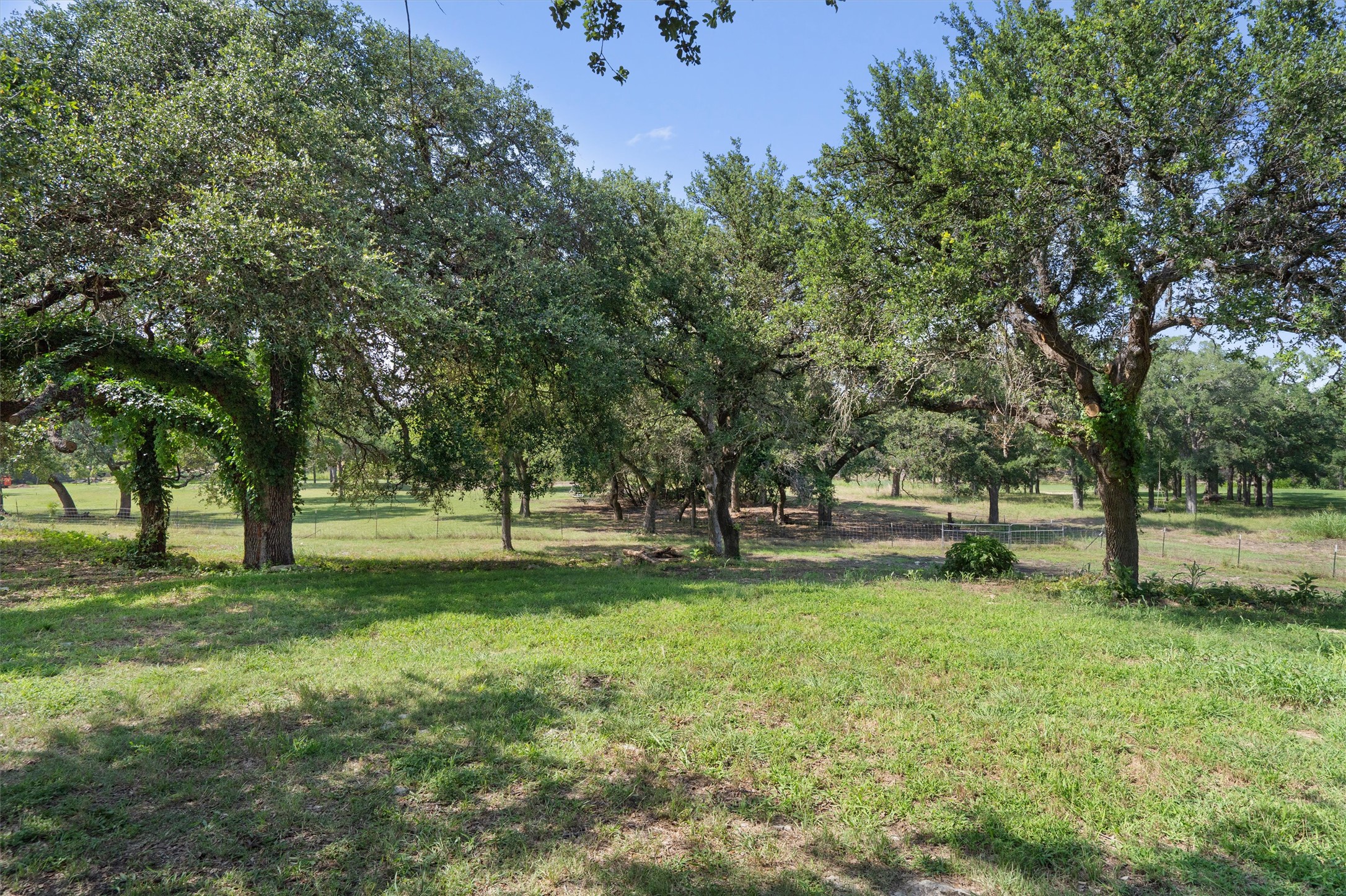 main property photo 36