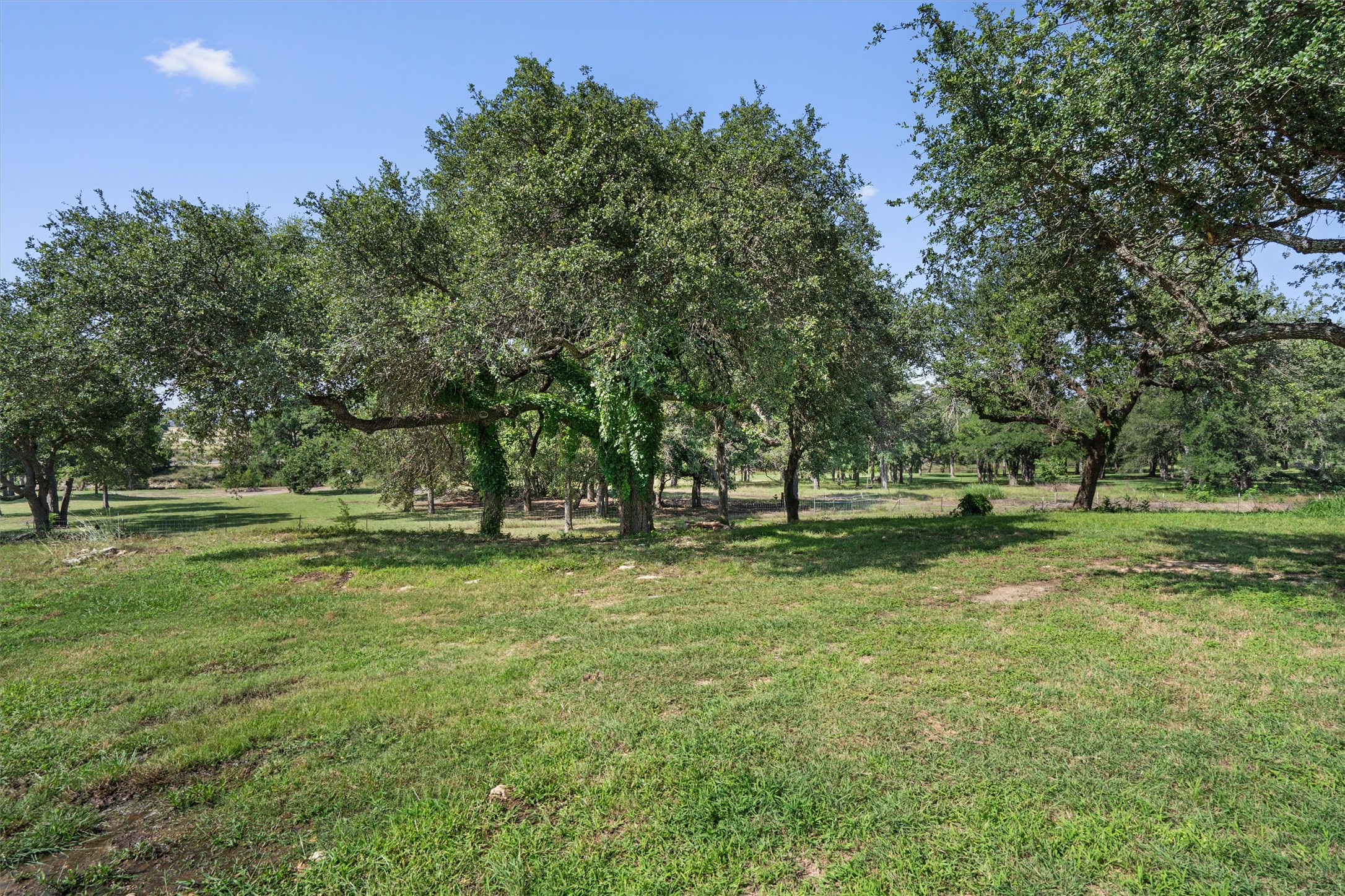main property photo 38
