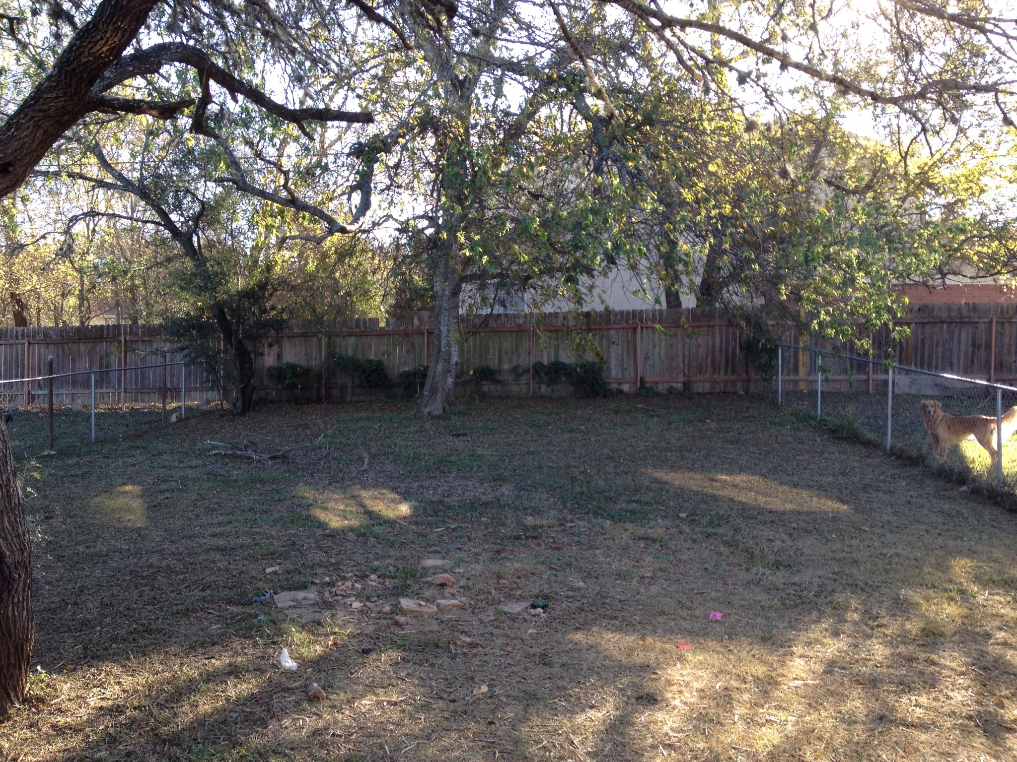 main property photo 12