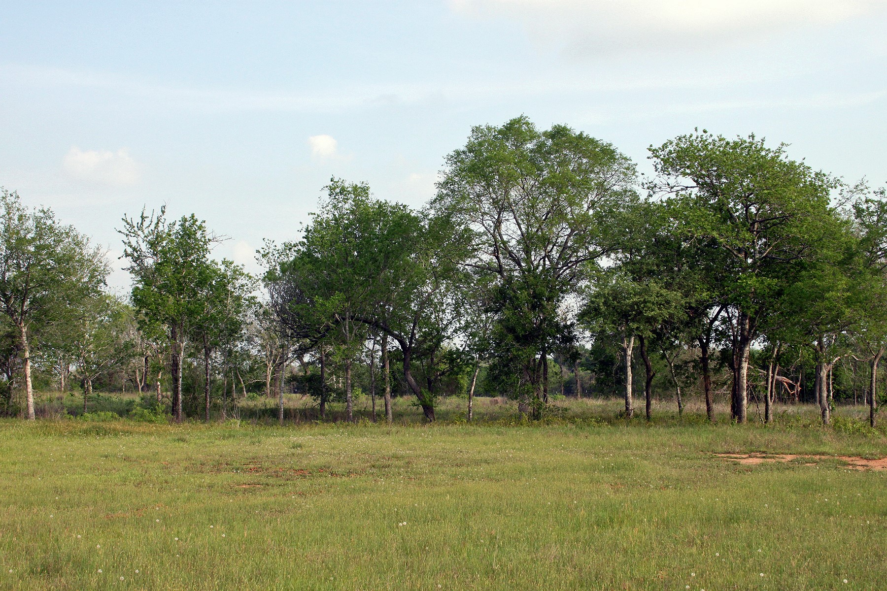 main property photo 11
